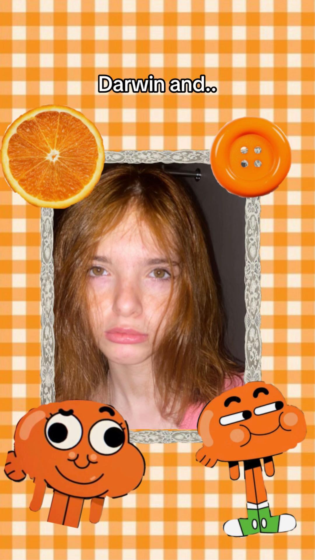 @Мистер медведь