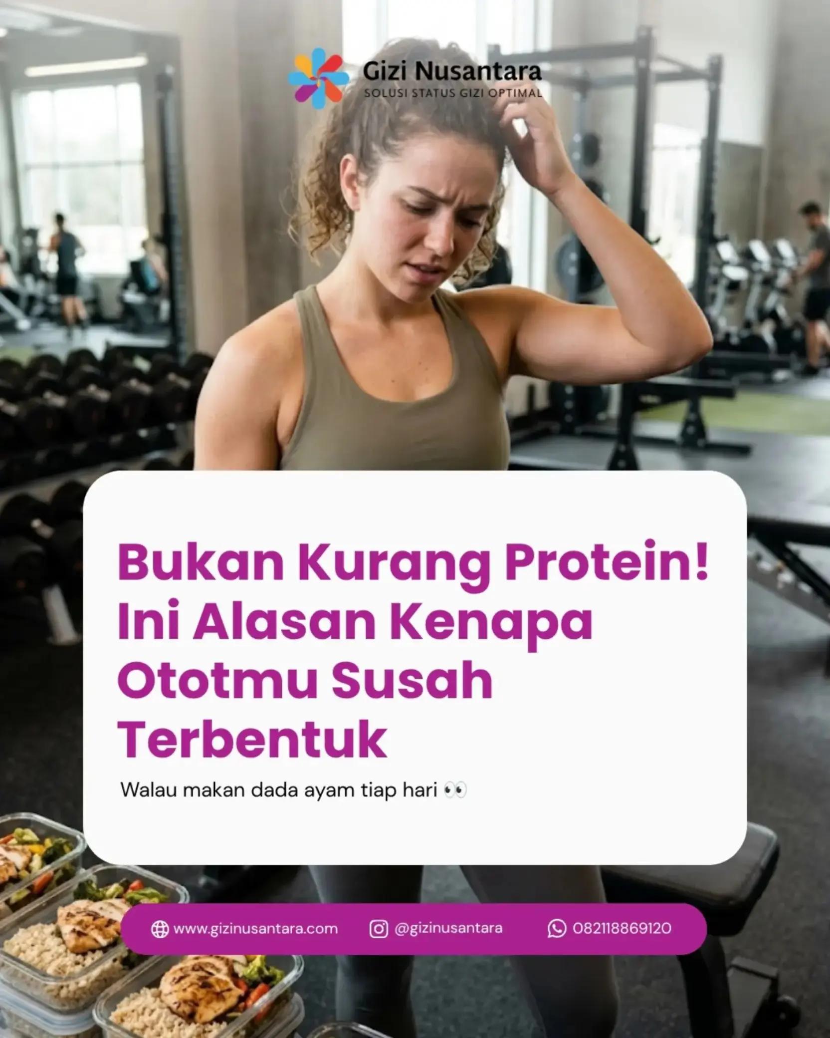 @Gizi Nusantara Official