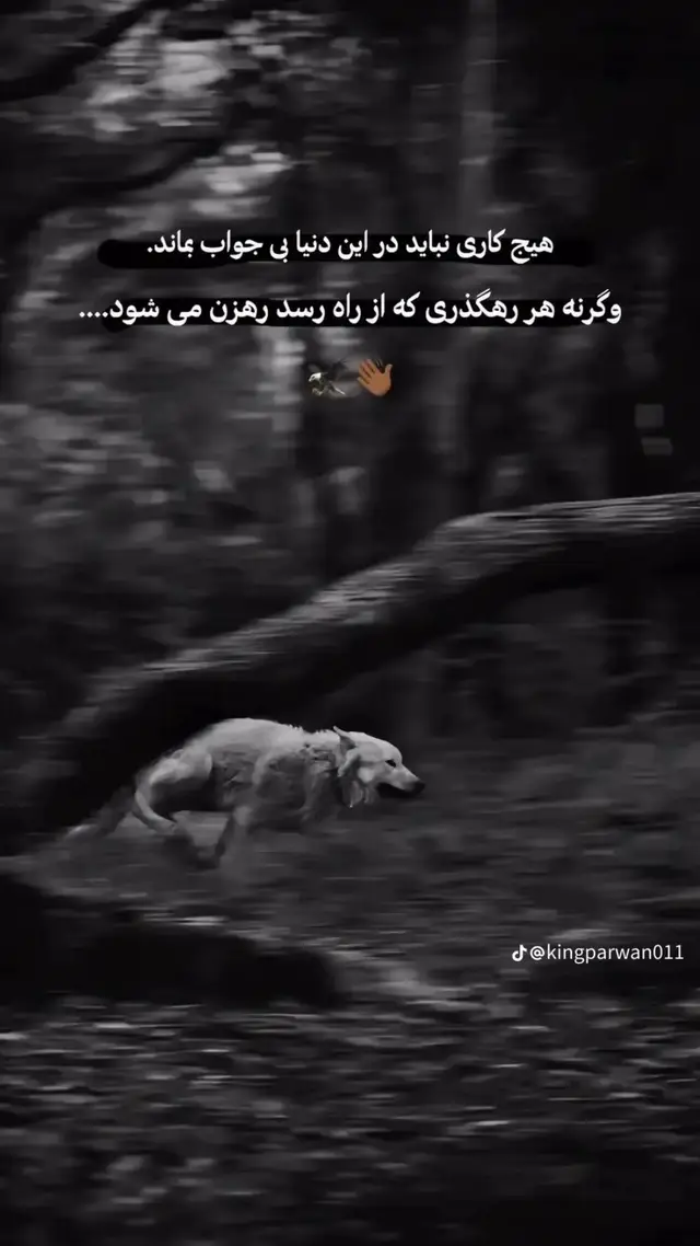 @꧁༆𝑆𝐢𝒍𝑒𝑛𝑐𝑒༆꧂