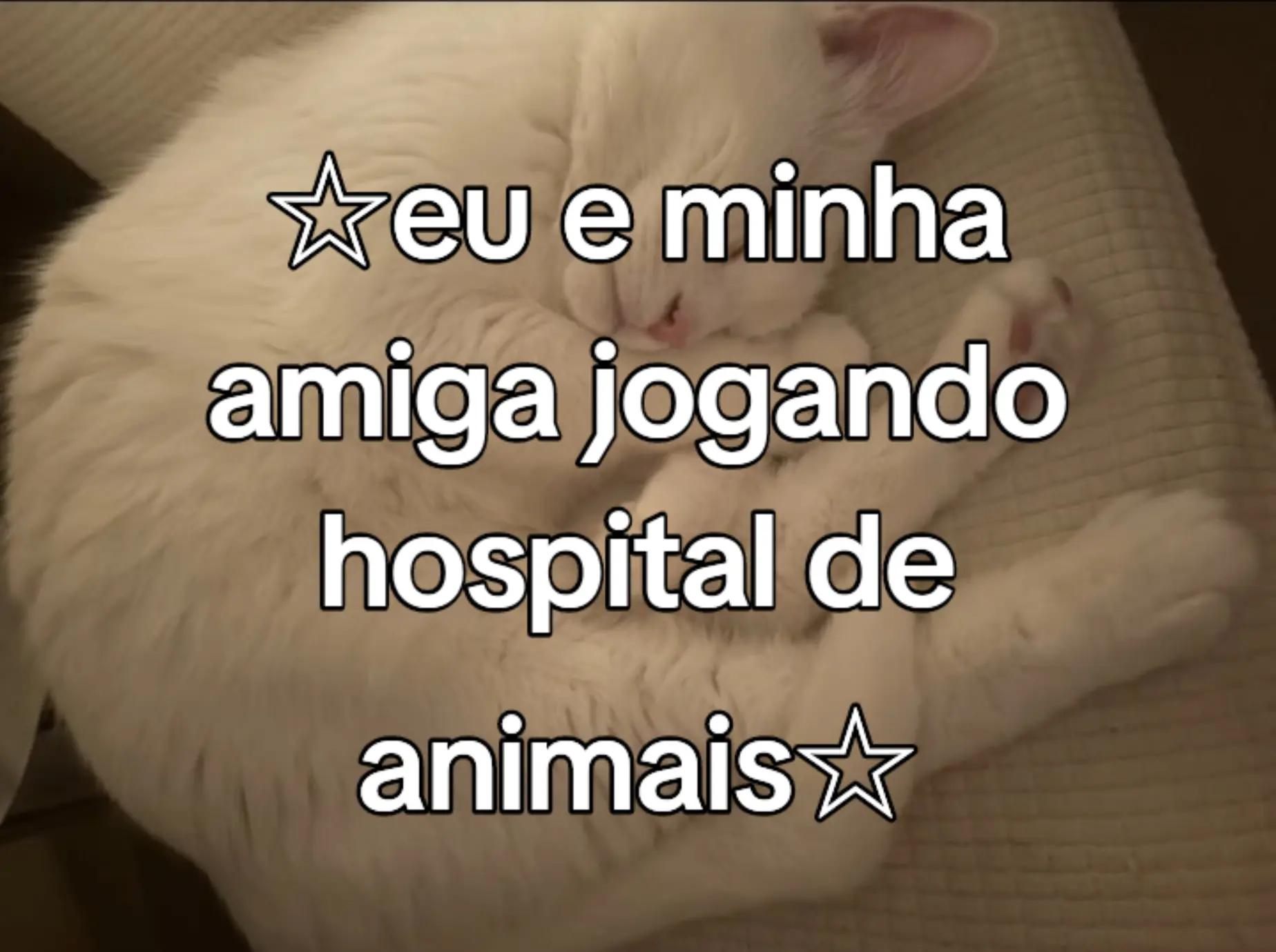 @~gatos brancos⚪🤍(-> <-)☆♡~