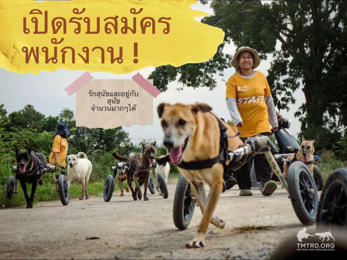 @TMTRD.org