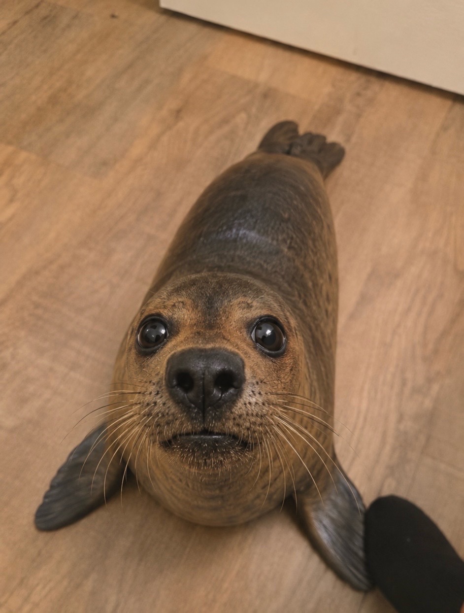 @Slinky Severus-Doo