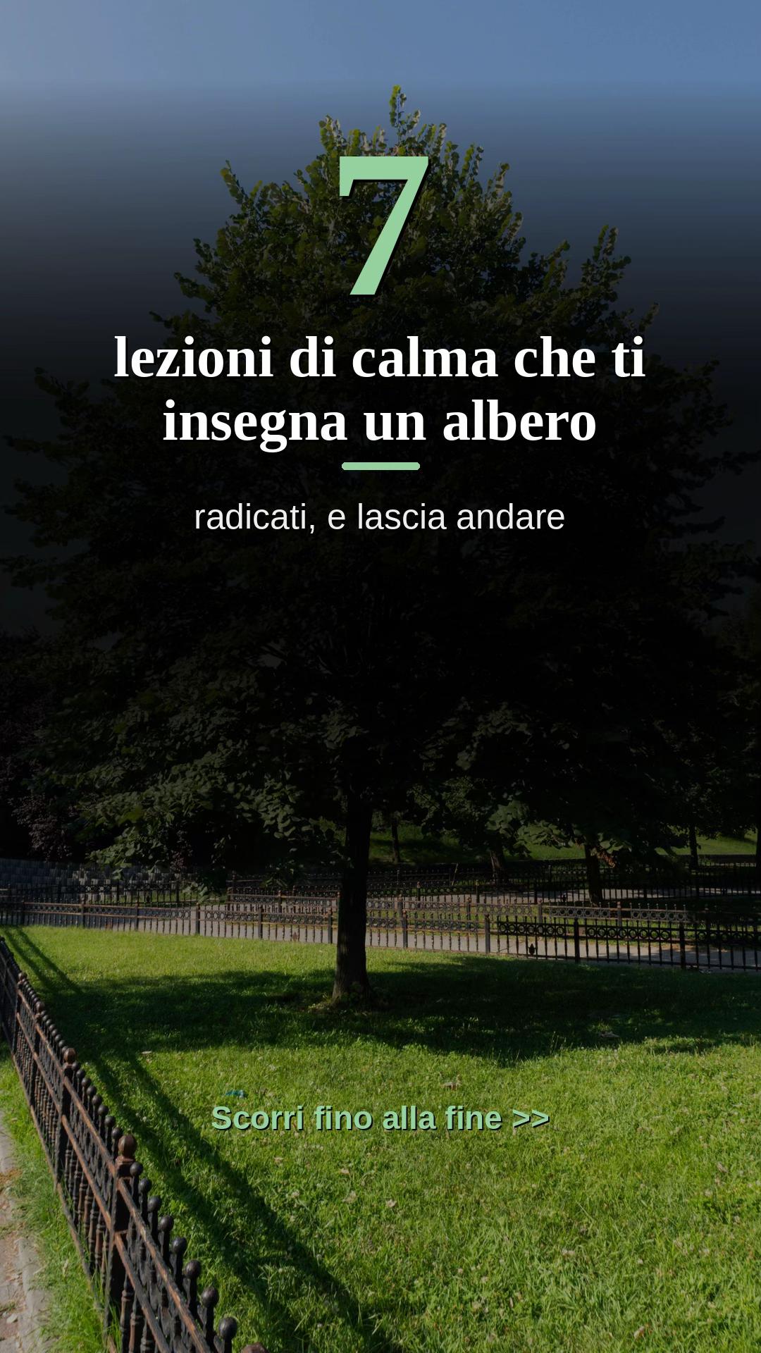 @Fioritura 🌸