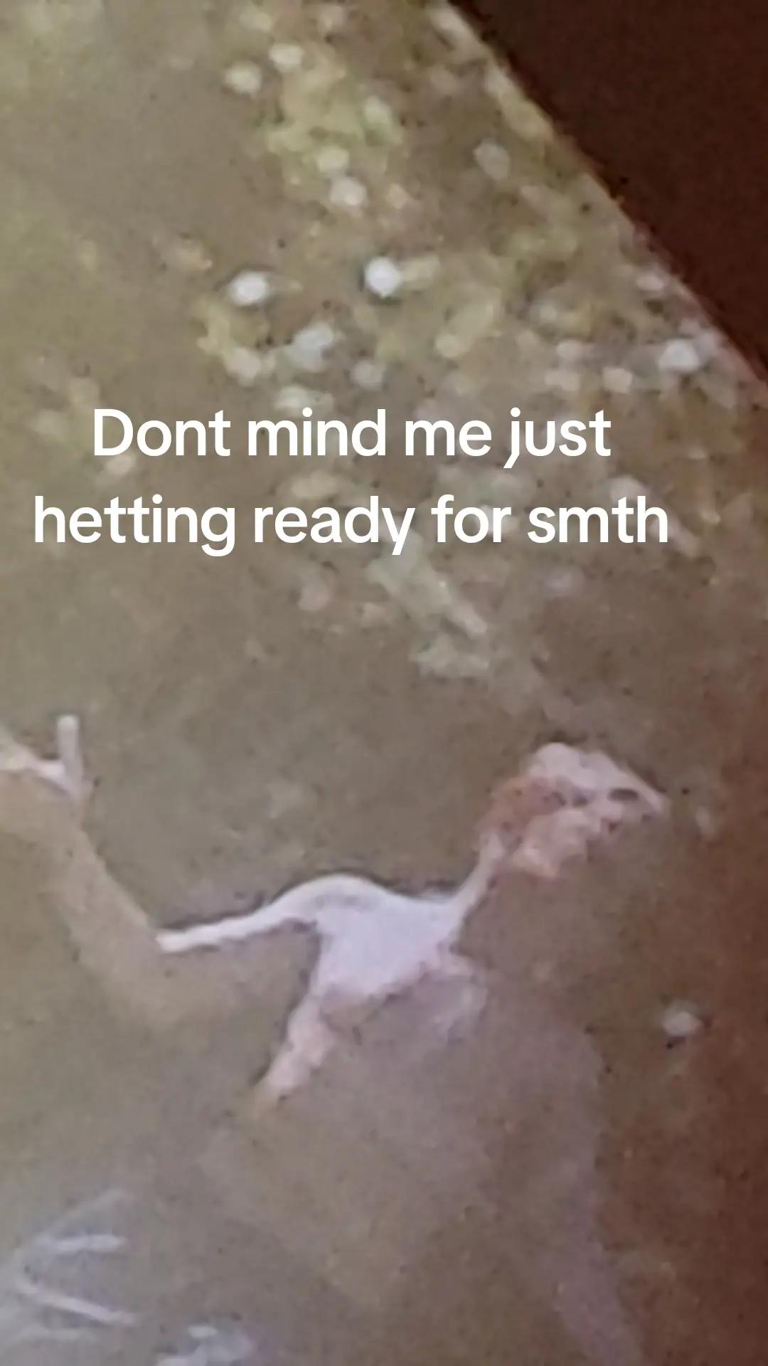 @𝓛𝓸𝓼 𝓐𝓷𝓰𝓮𝓵𝓮𝓼 𝓡𝓟