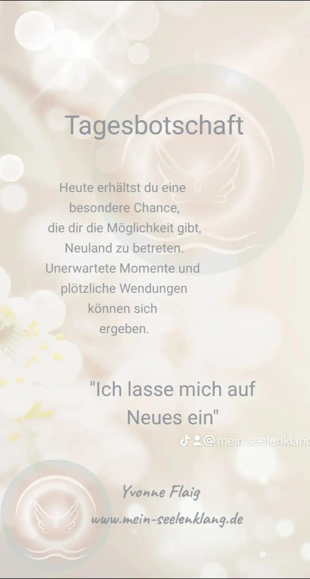 @yvonneflaig