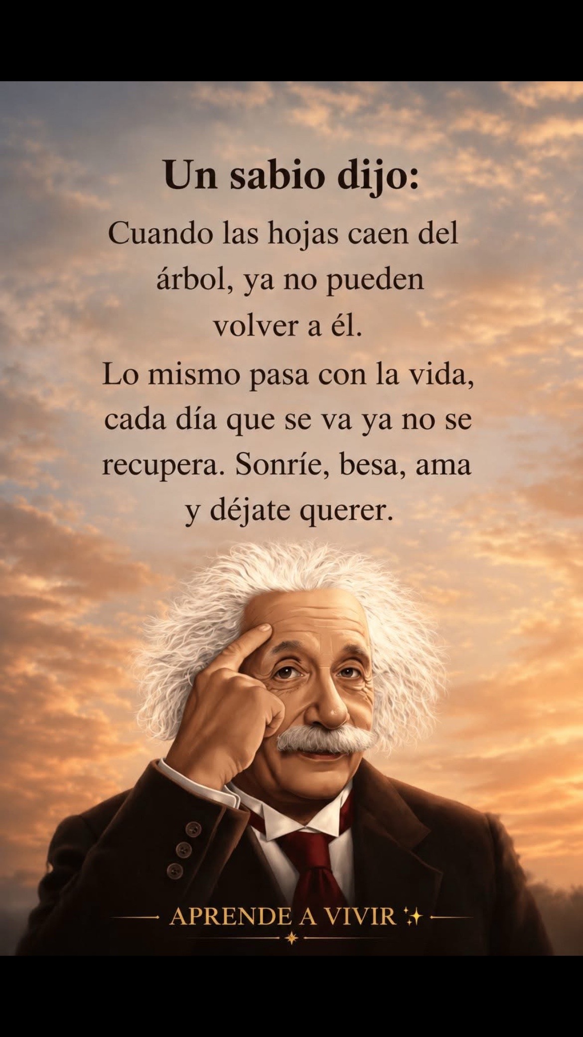 @Pedro Cruz