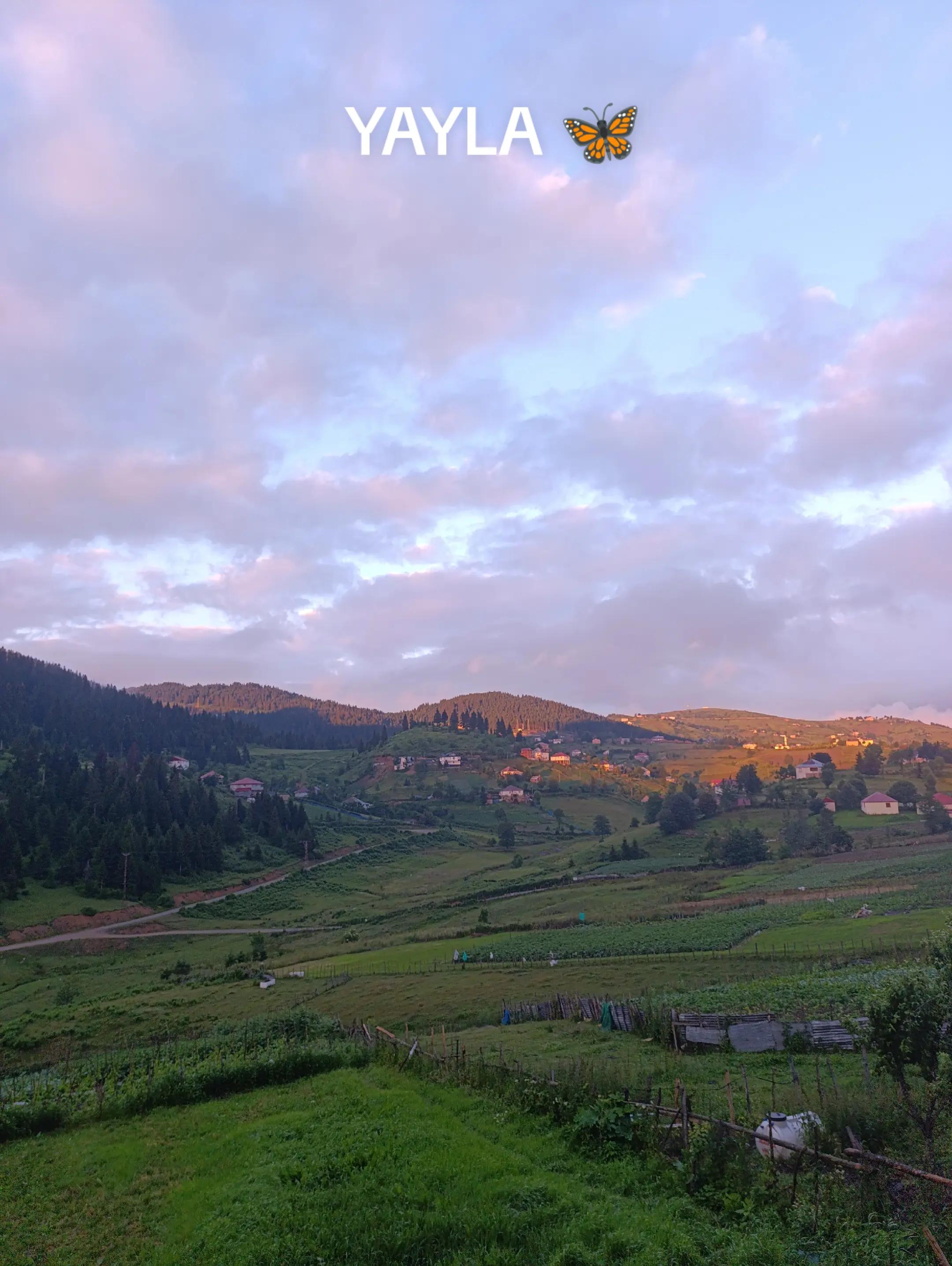 @ORDU'NUN ASİ KIZI