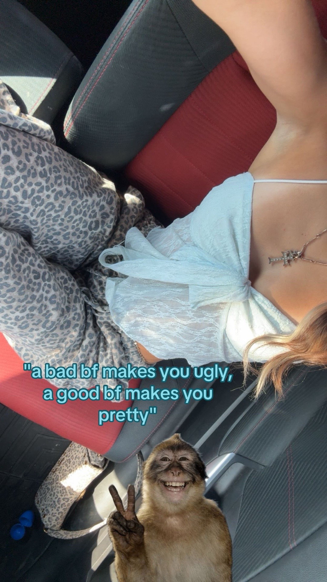 @Tyla 🦊