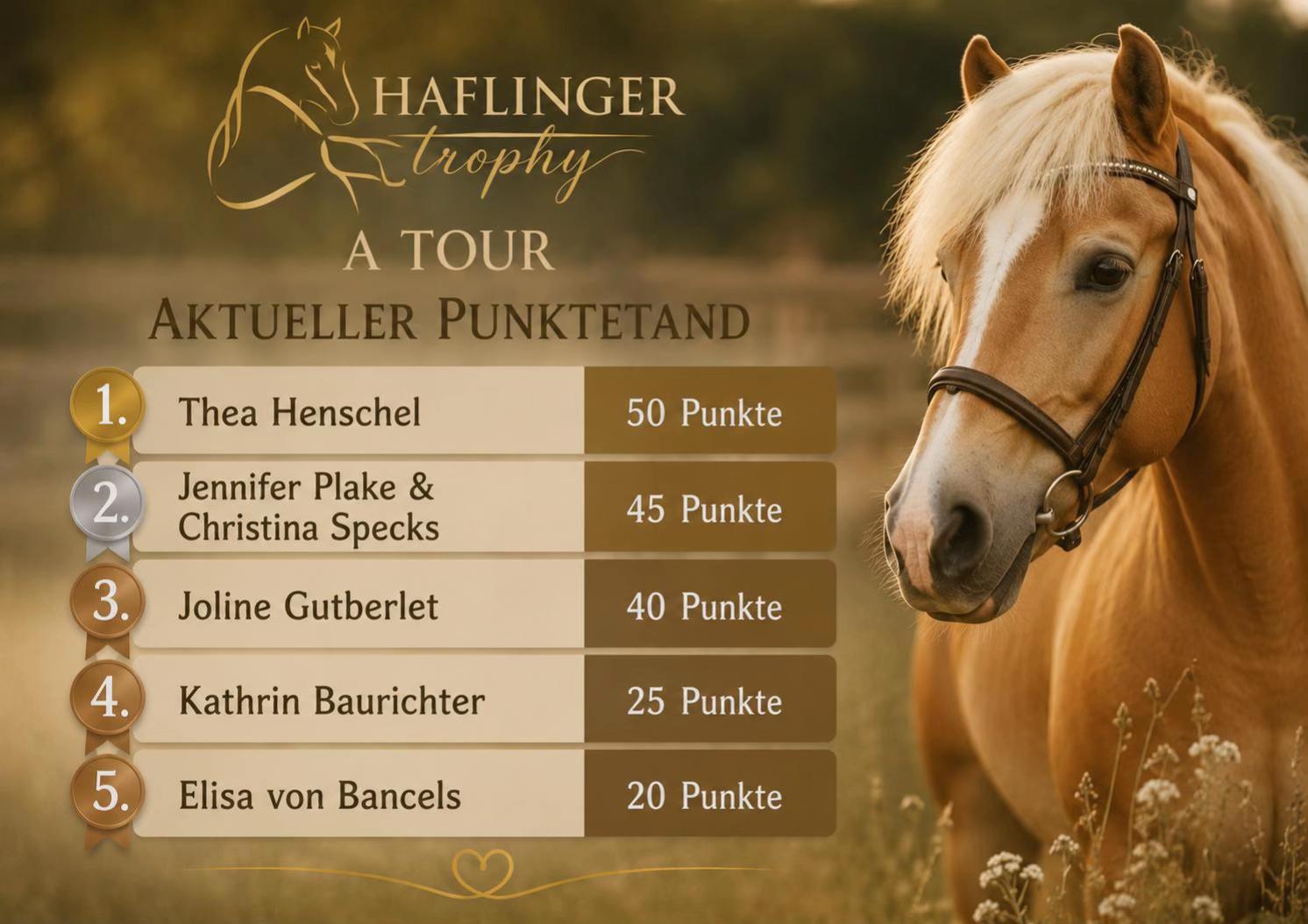 @Westf&auml;lischer Haflingerverein