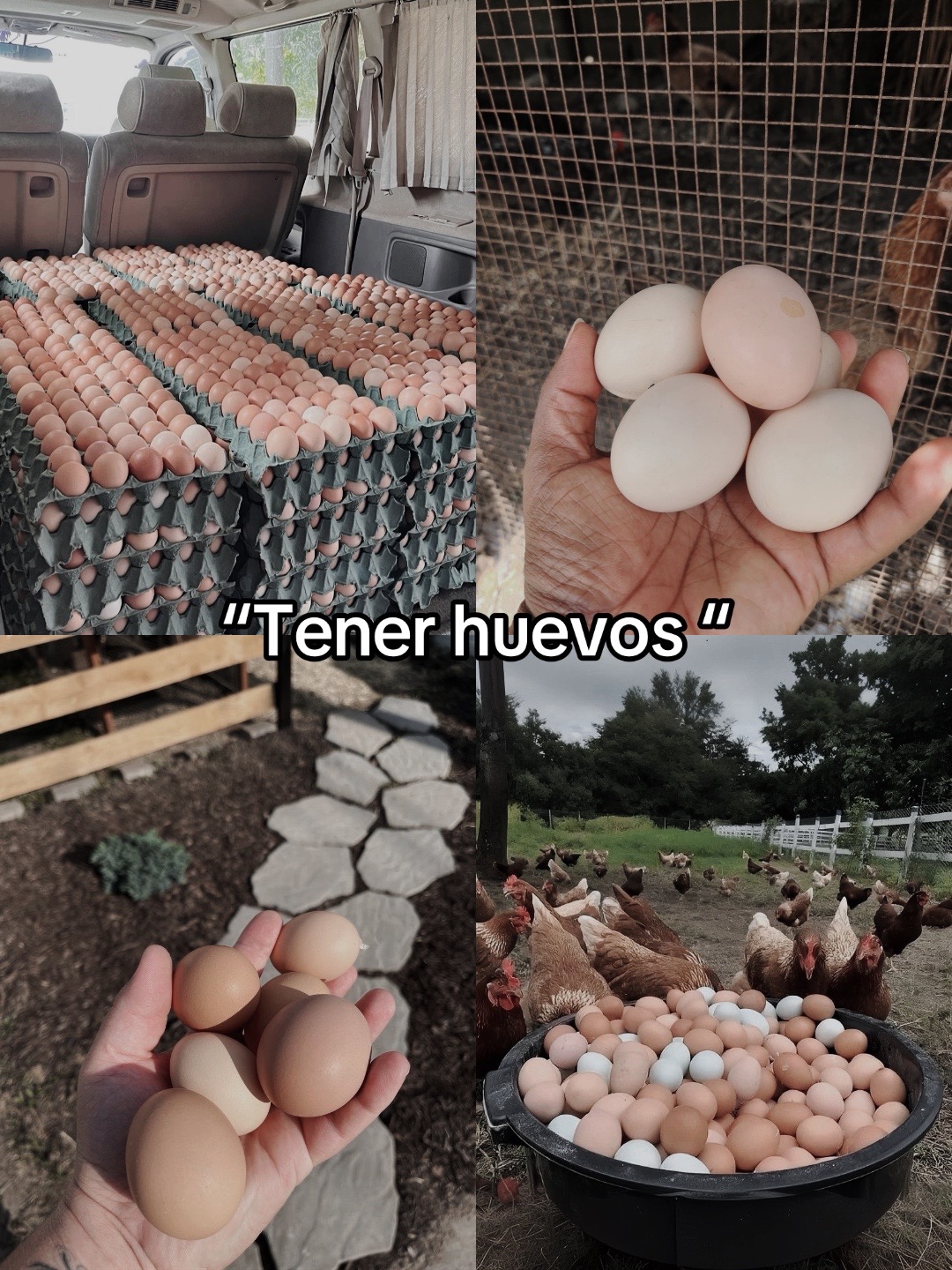 @DAVID 💪🏻🥷