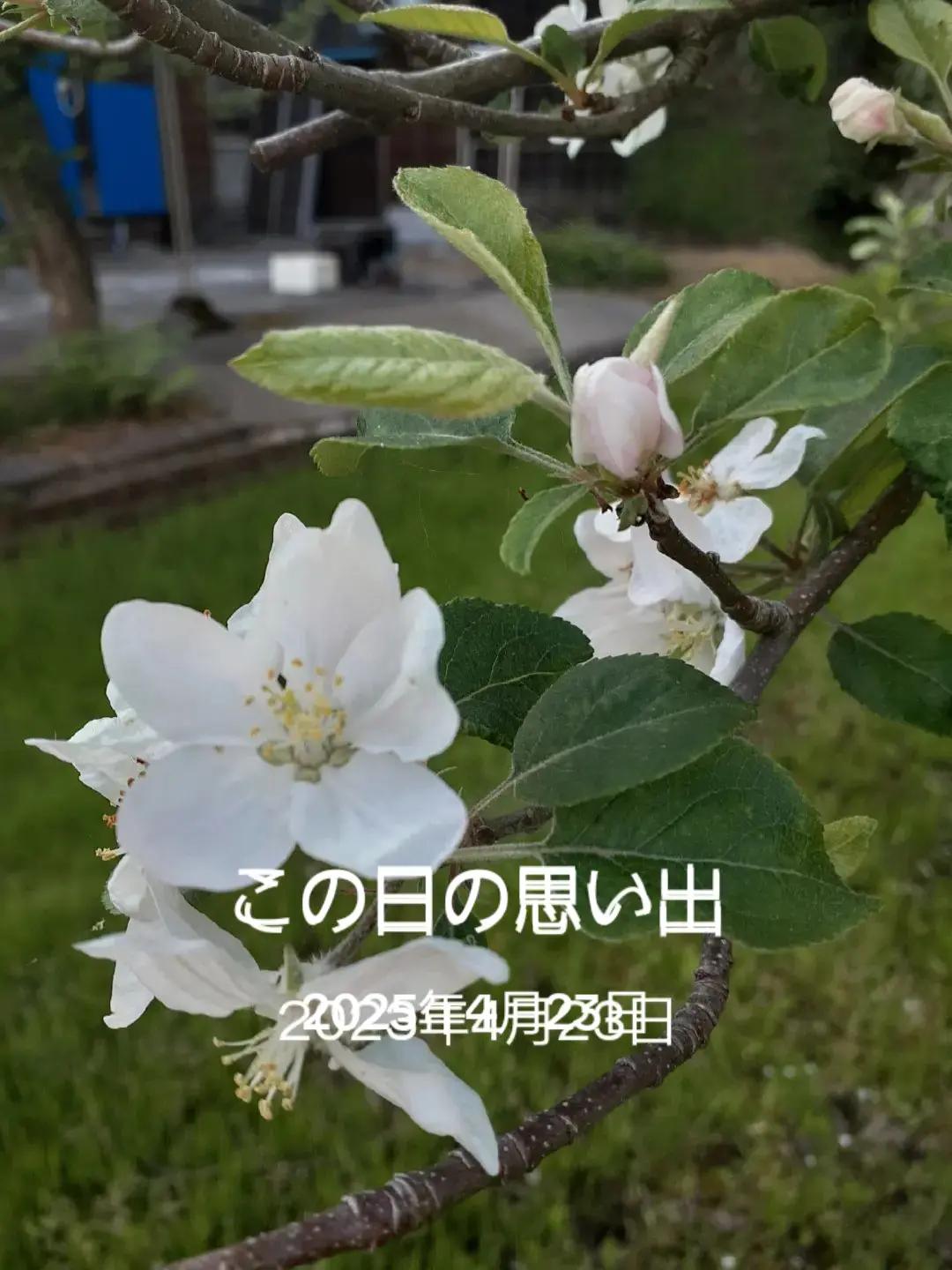 @ターボー