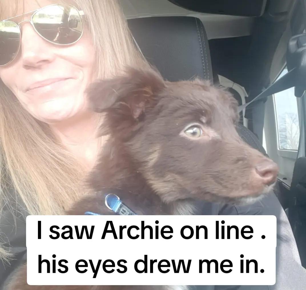 @EVE(dogmom)