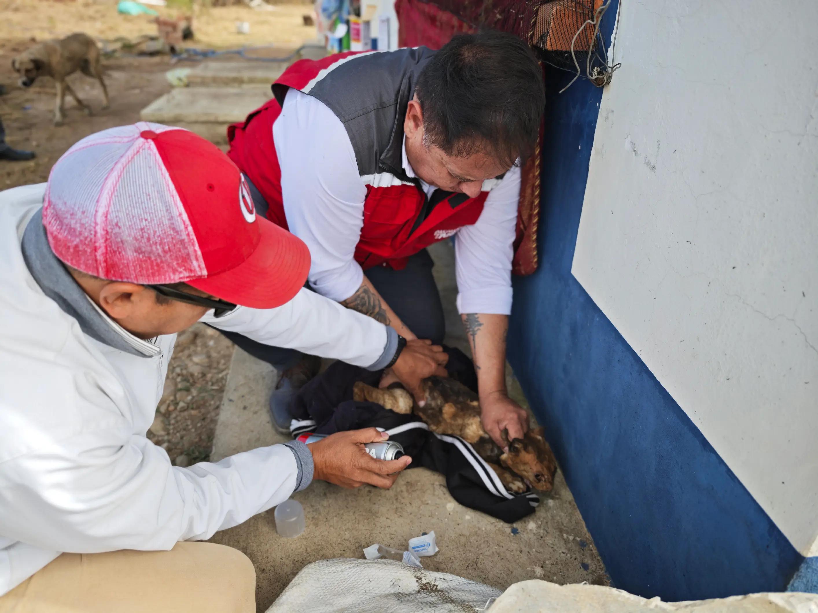 @Sec.Desarrollo.Humano.Tarija