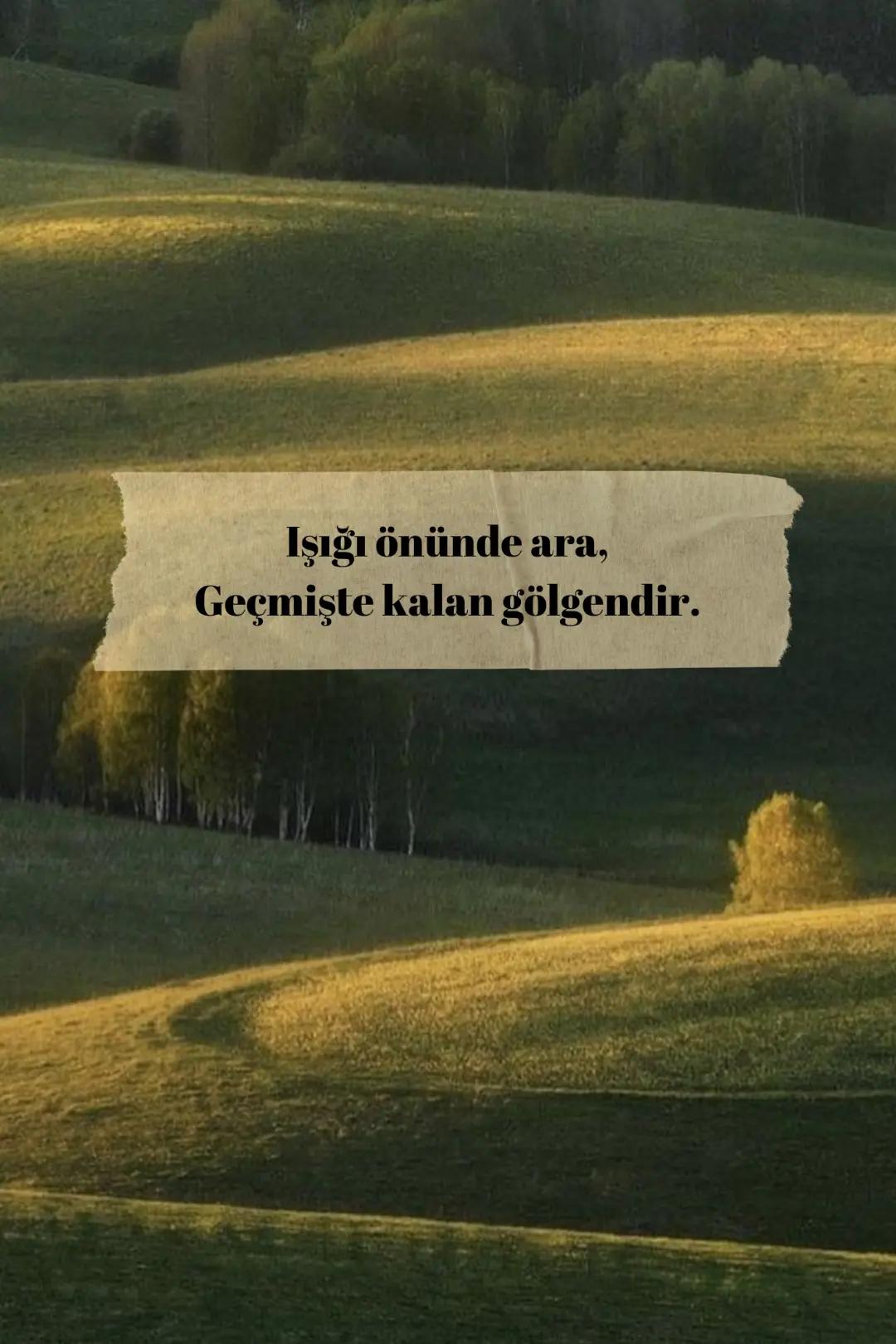 @Tuğba D.