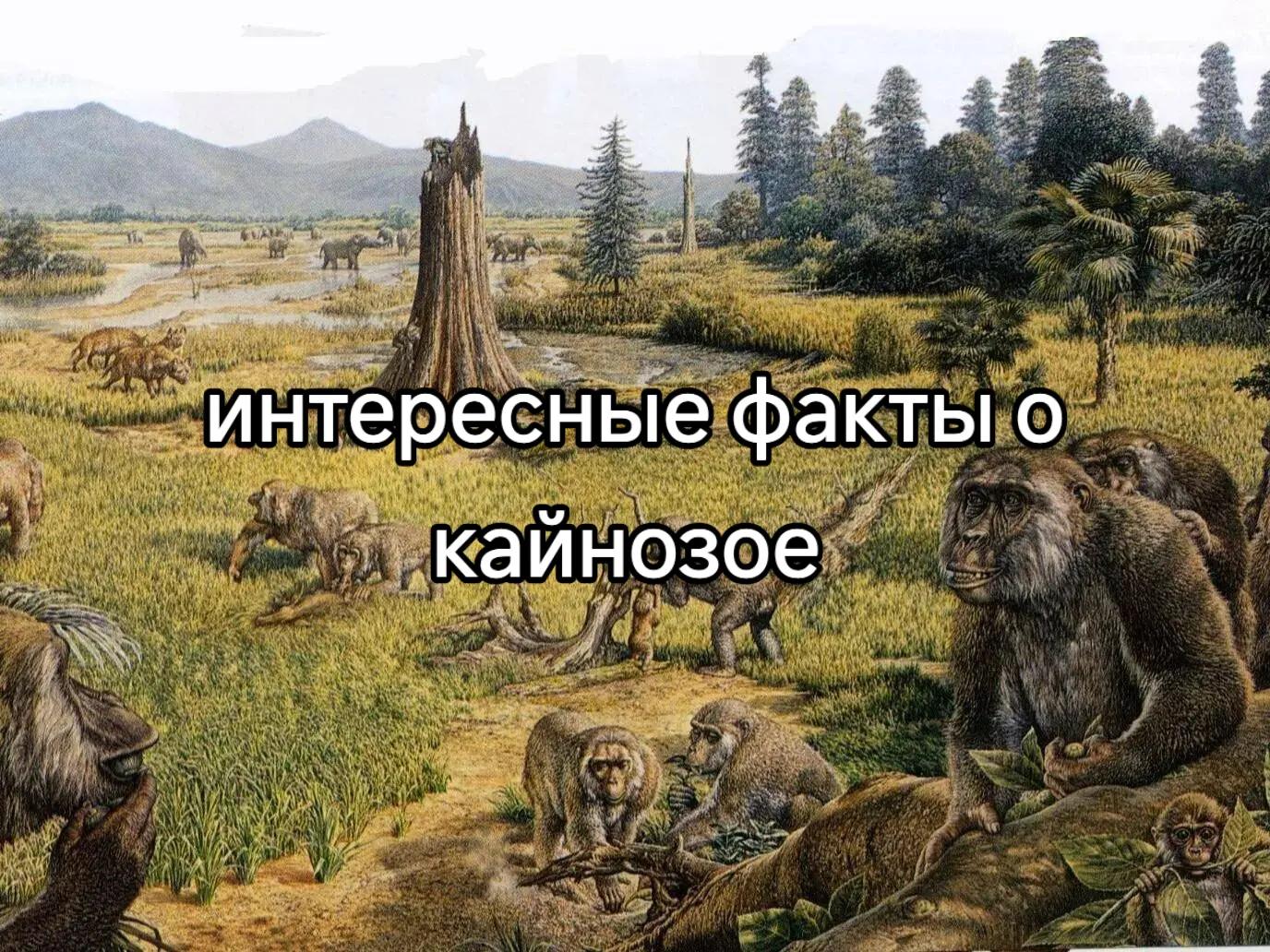 @Сендвич🕶