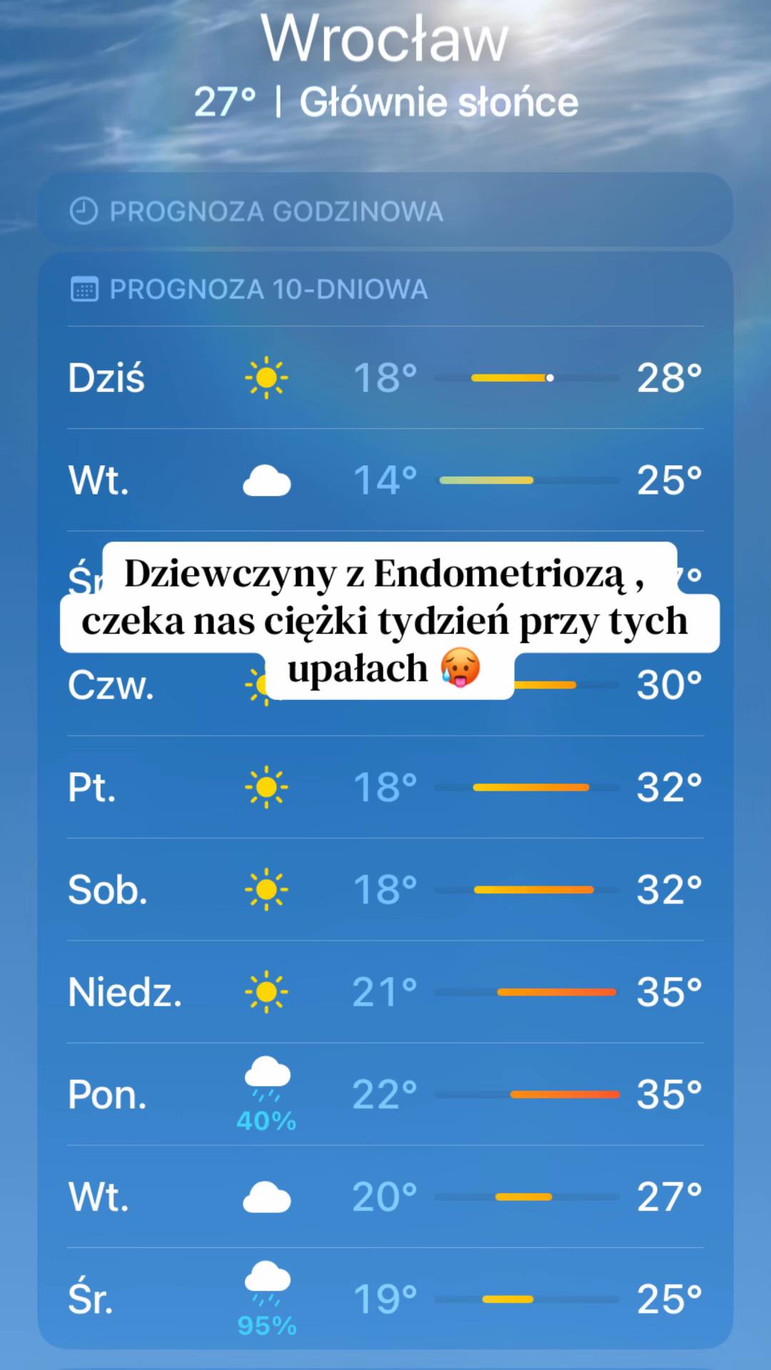 @EndoMona🎗️