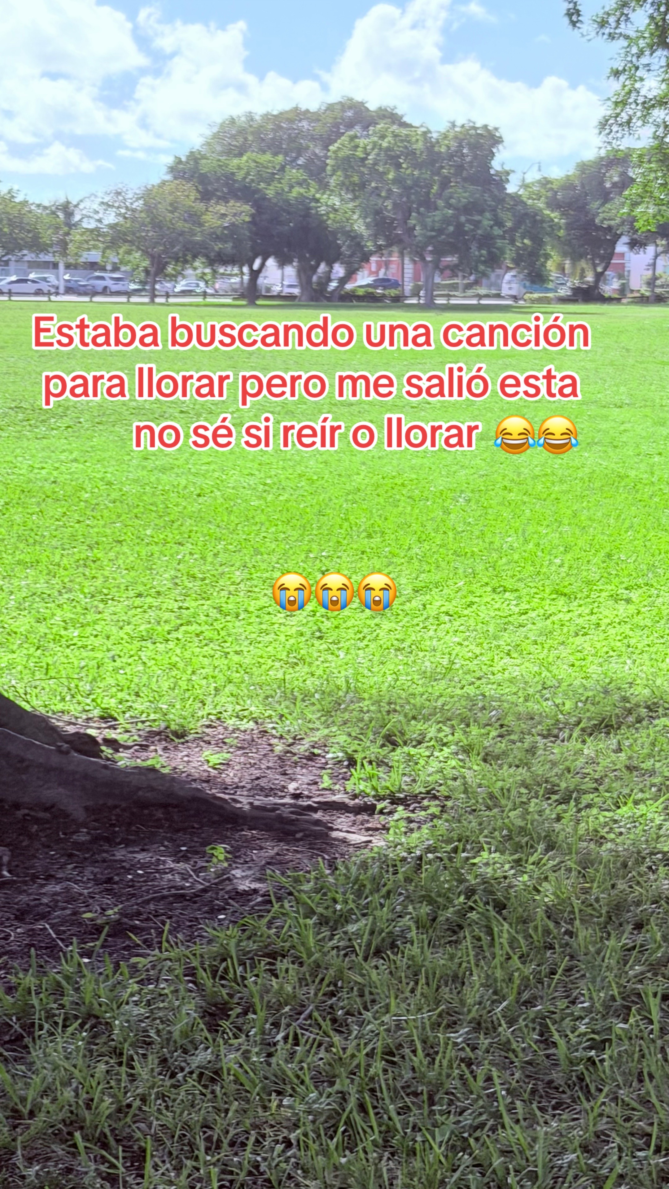 @Magdy Garcia