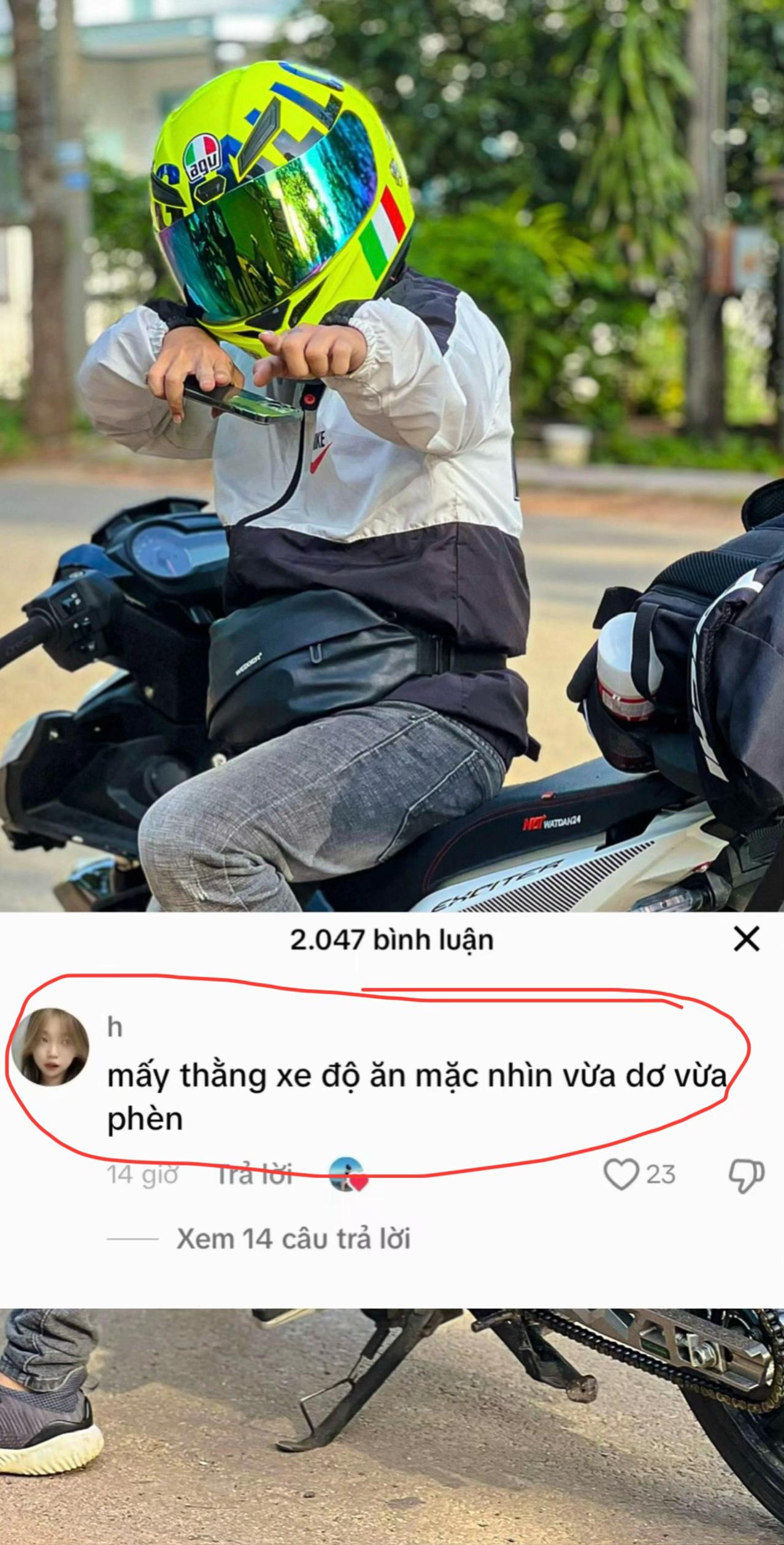 @𝑻𝑻𝑷 🌲