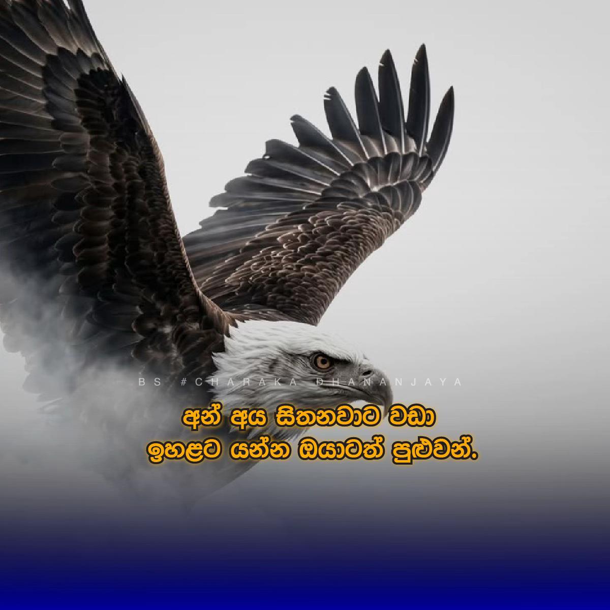 @Charaka Dhananjaya