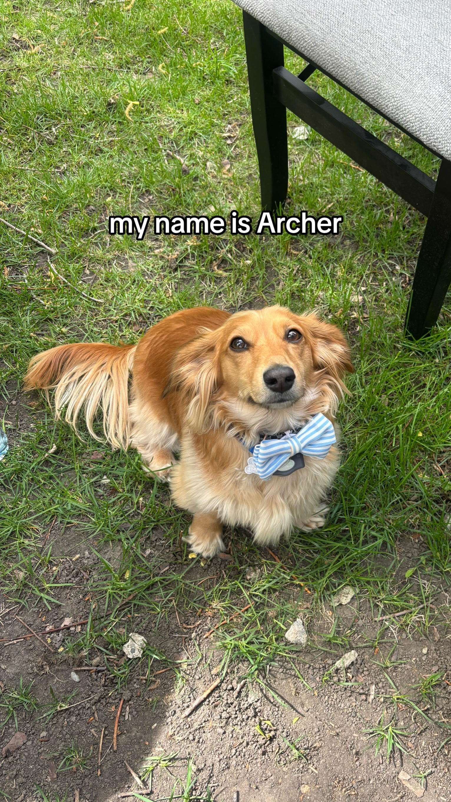 @archer