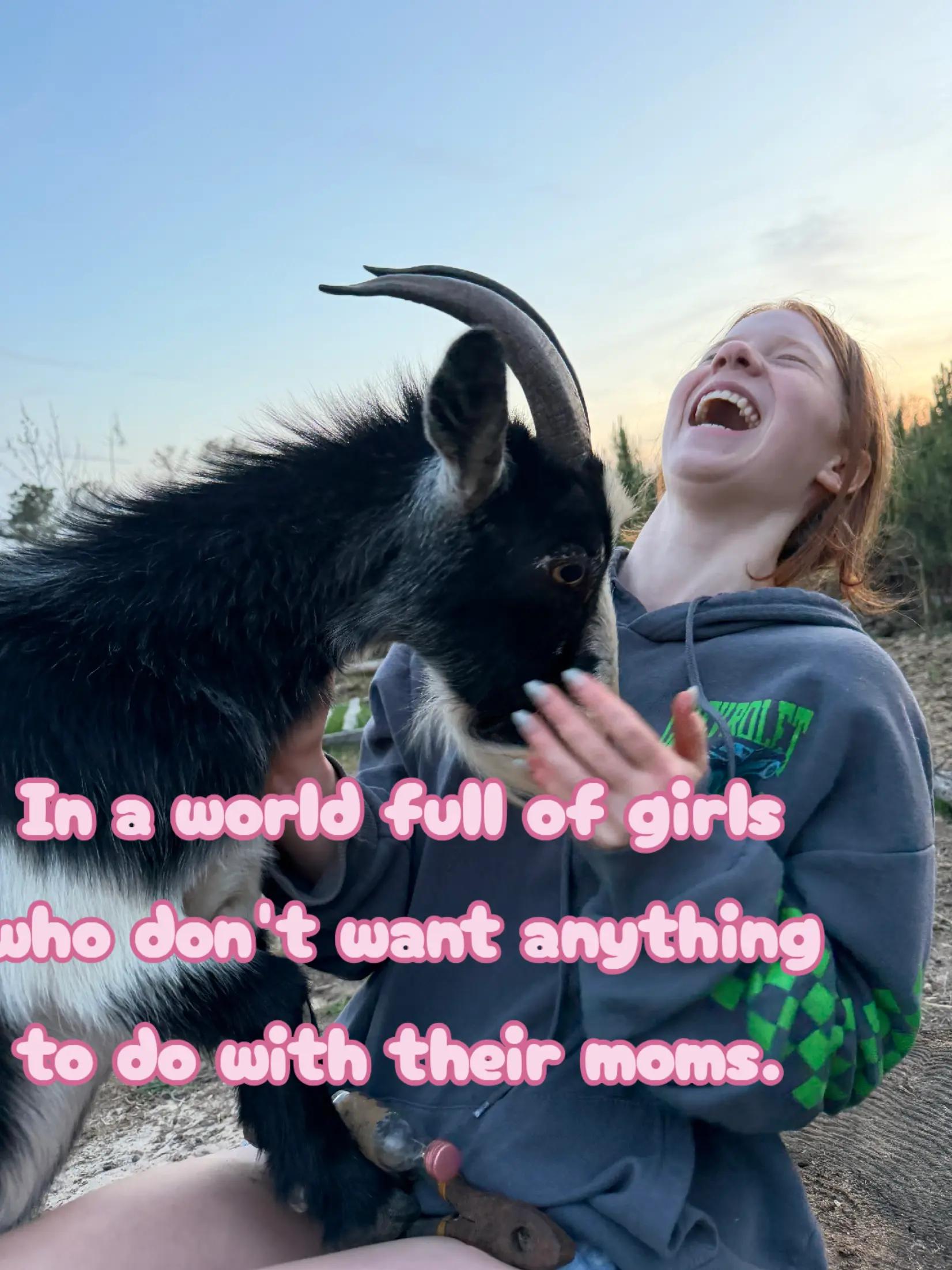 @🐂🌾Natalie🌾🐂