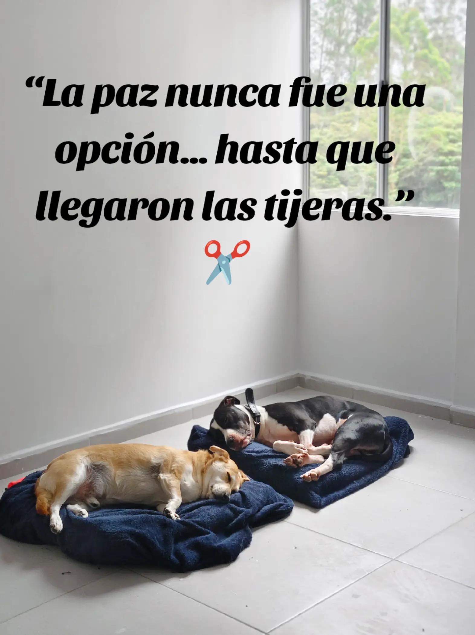 @MUNDO ANIMAL CURIOSO