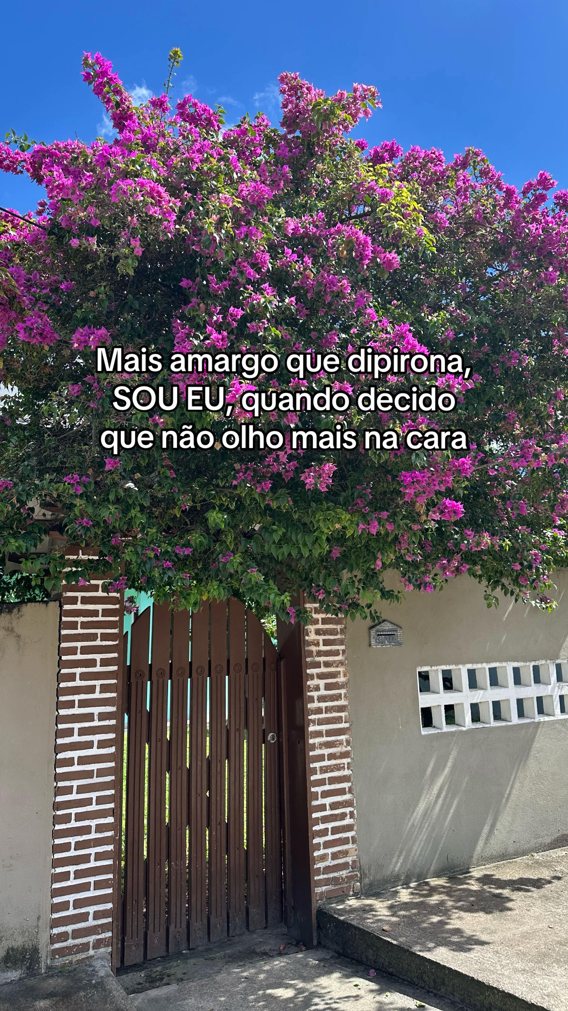 @Gueeu Ferreira