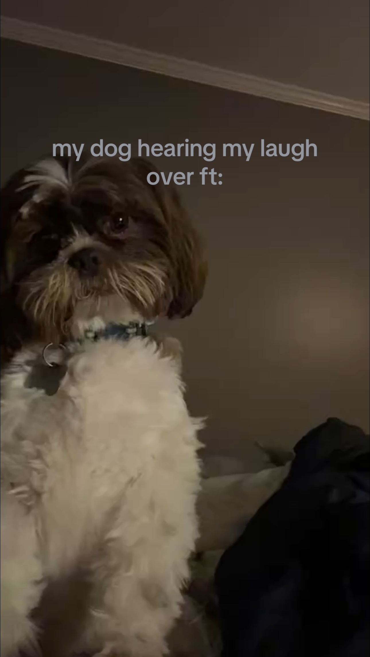 @userrrr33333323