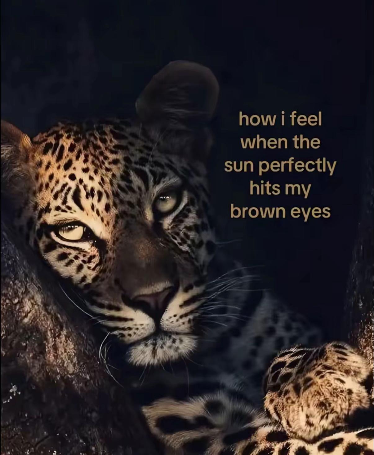 @crainz750