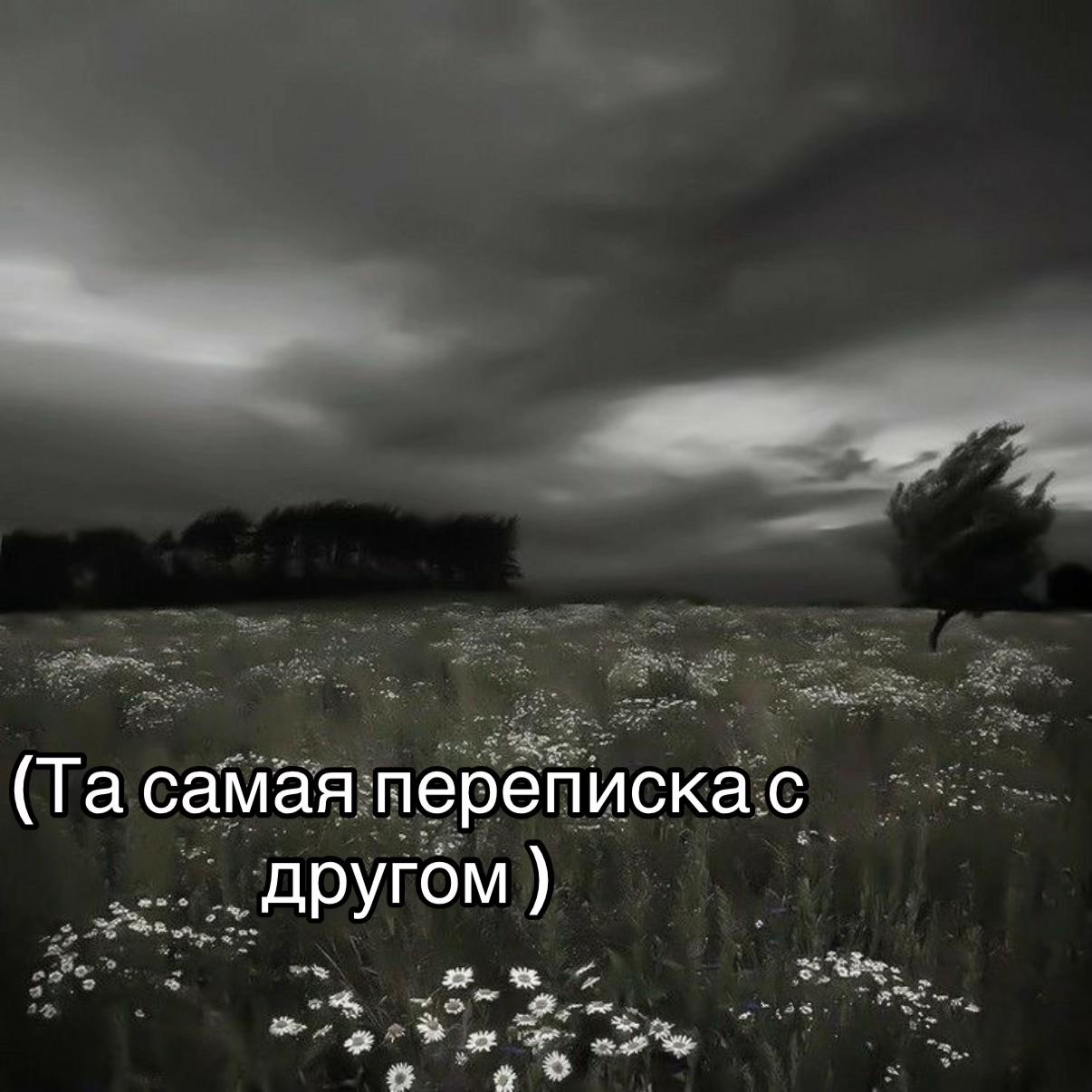 @Стелла