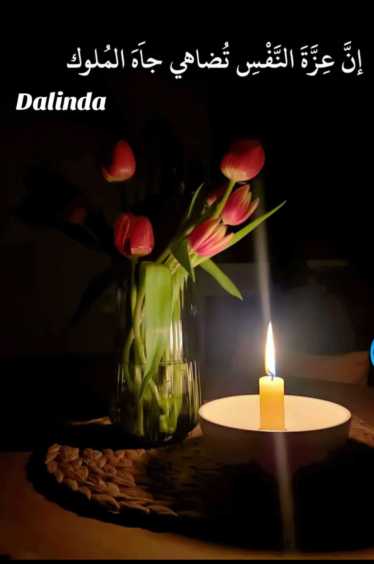 @dalindarousse