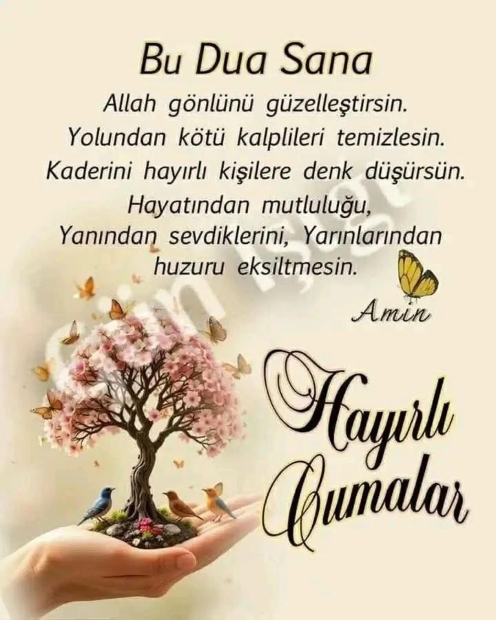 @Mehmet Sancili