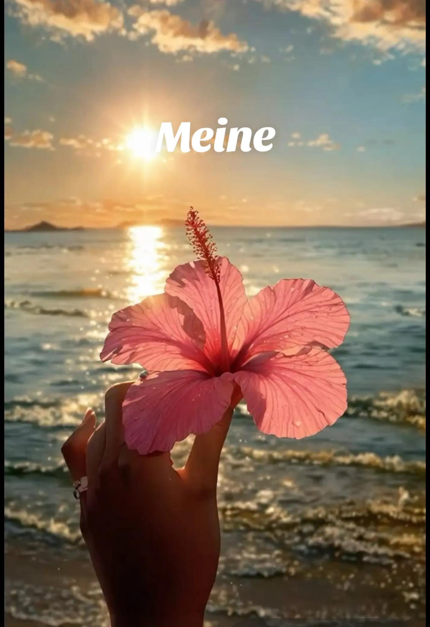 @Lara🇩🇪🦅