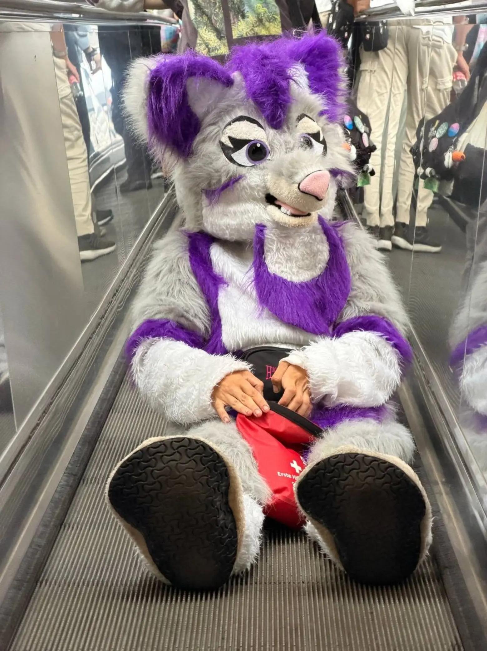 @Stella_and_furry_MFL_