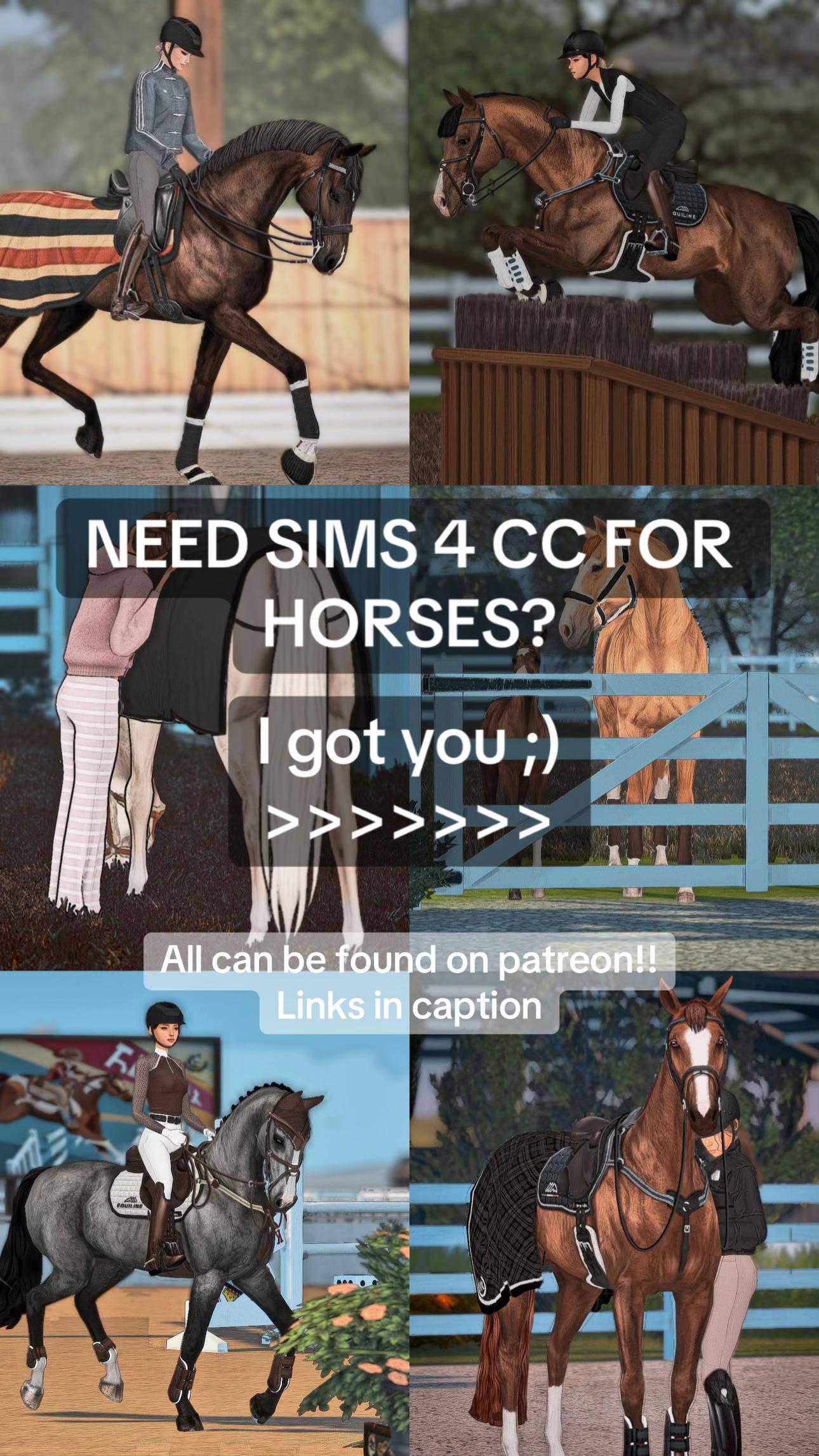@mainorhillsstud