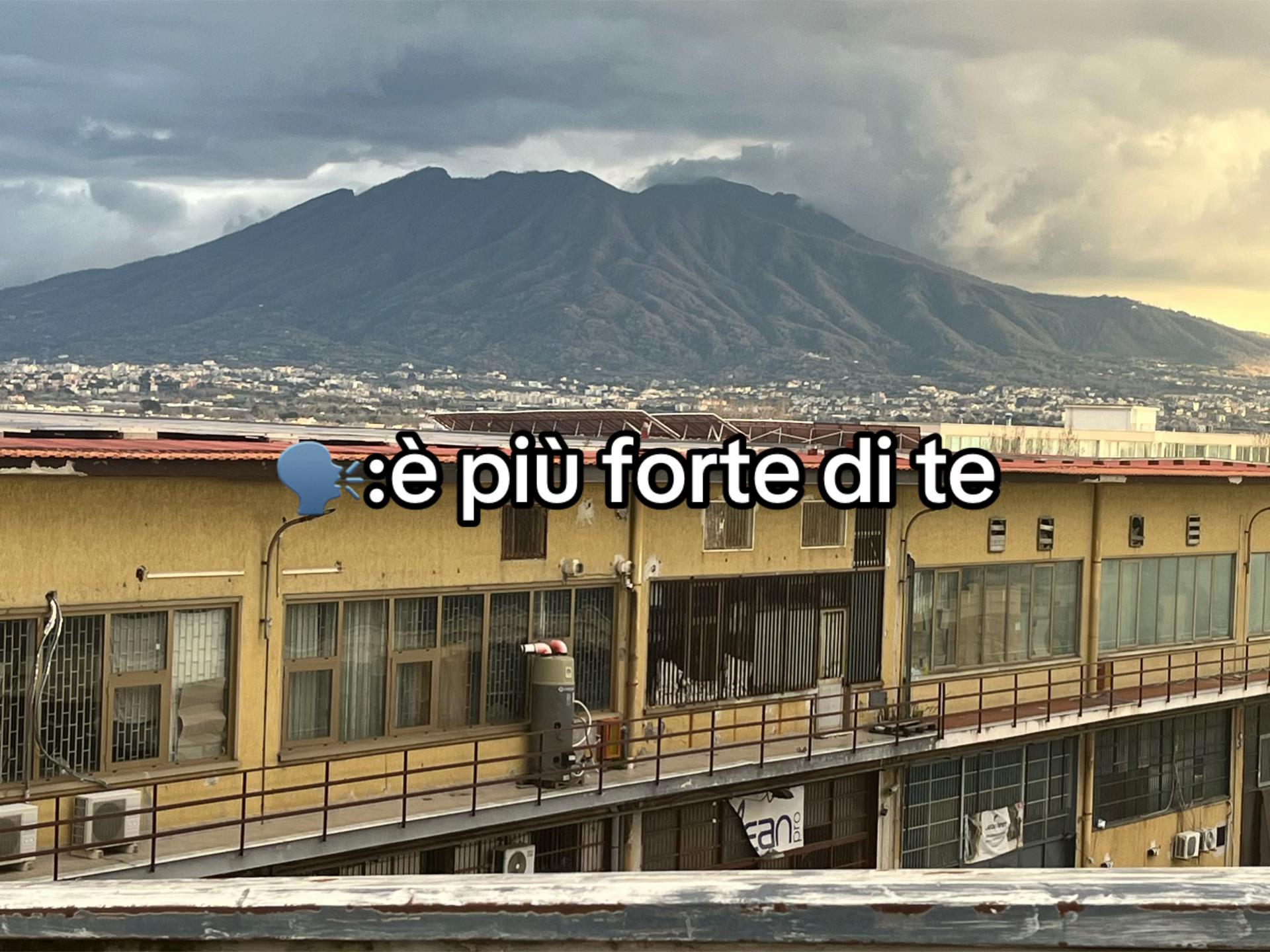 @dilorenzo223