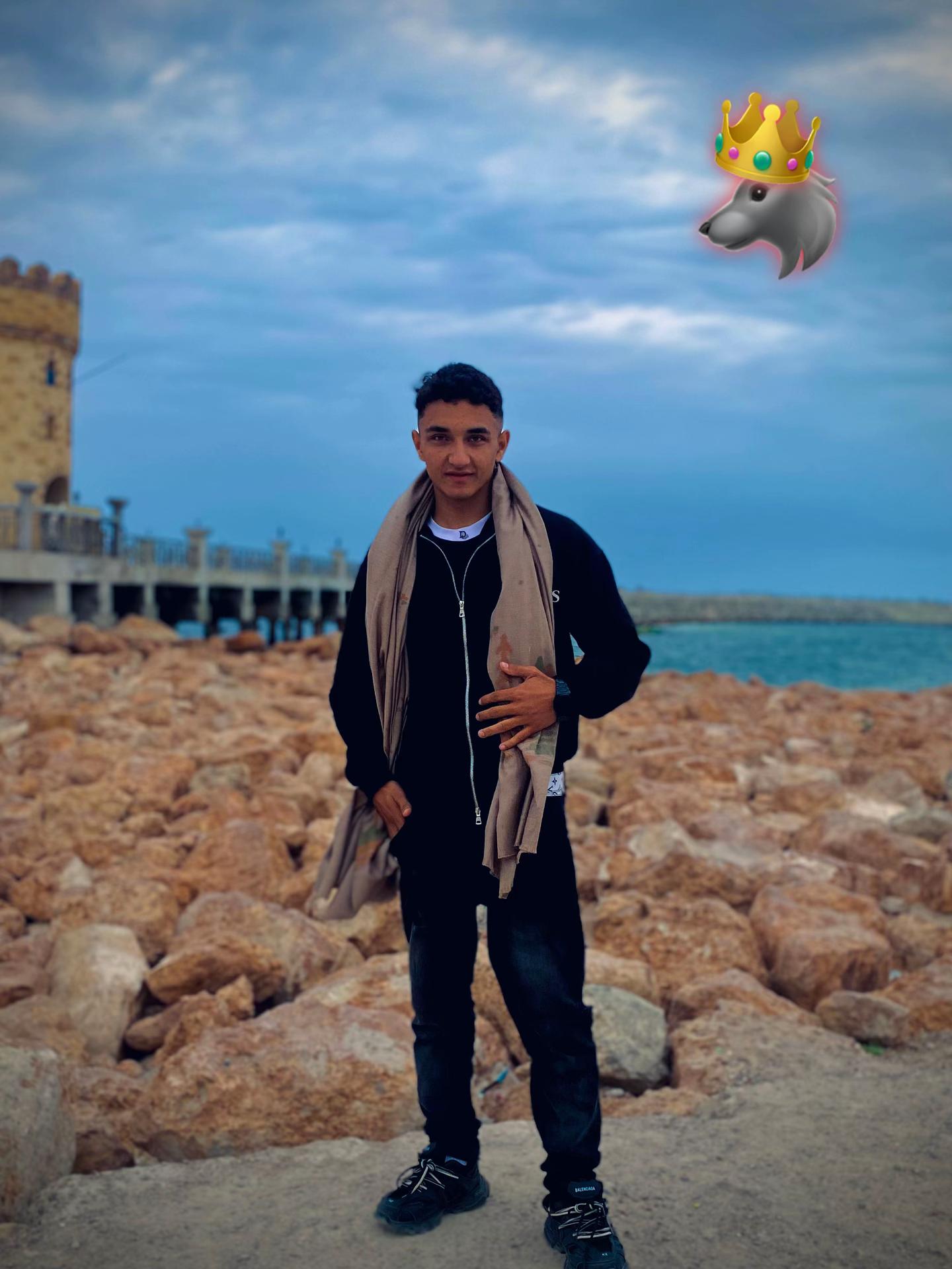 @aboleila61