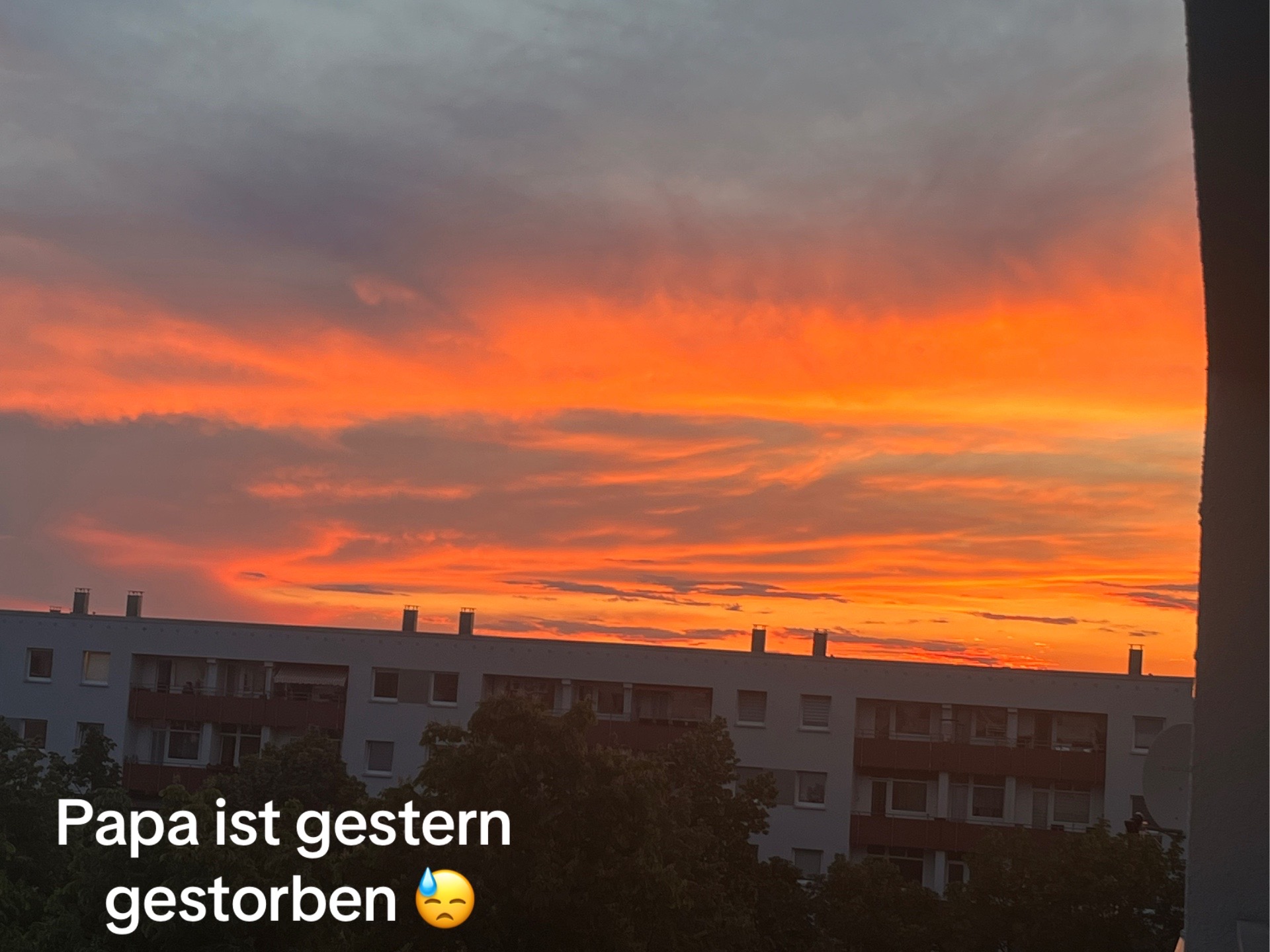 @lea._.ll361