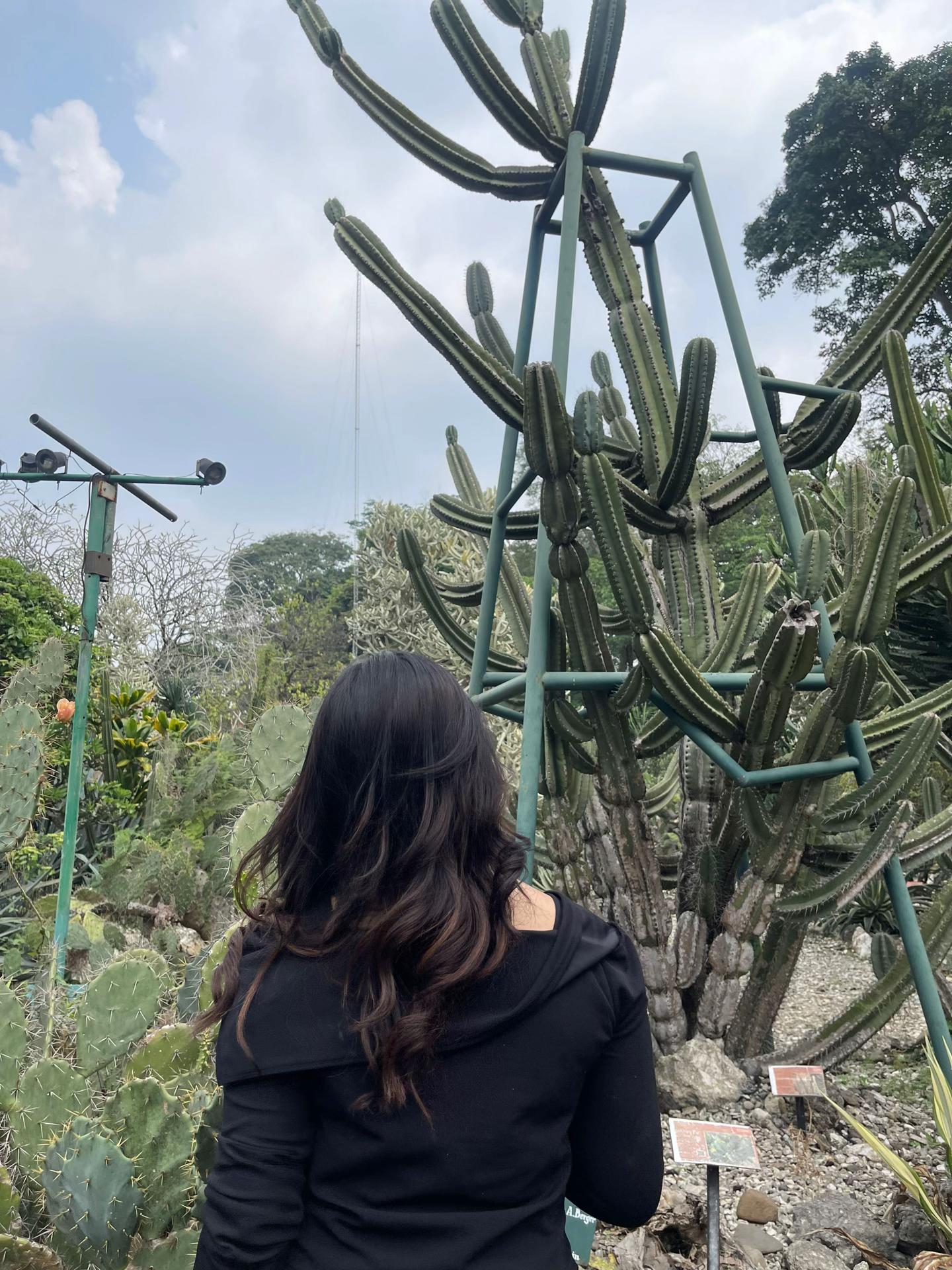 @dianaa🧚🏼♀️