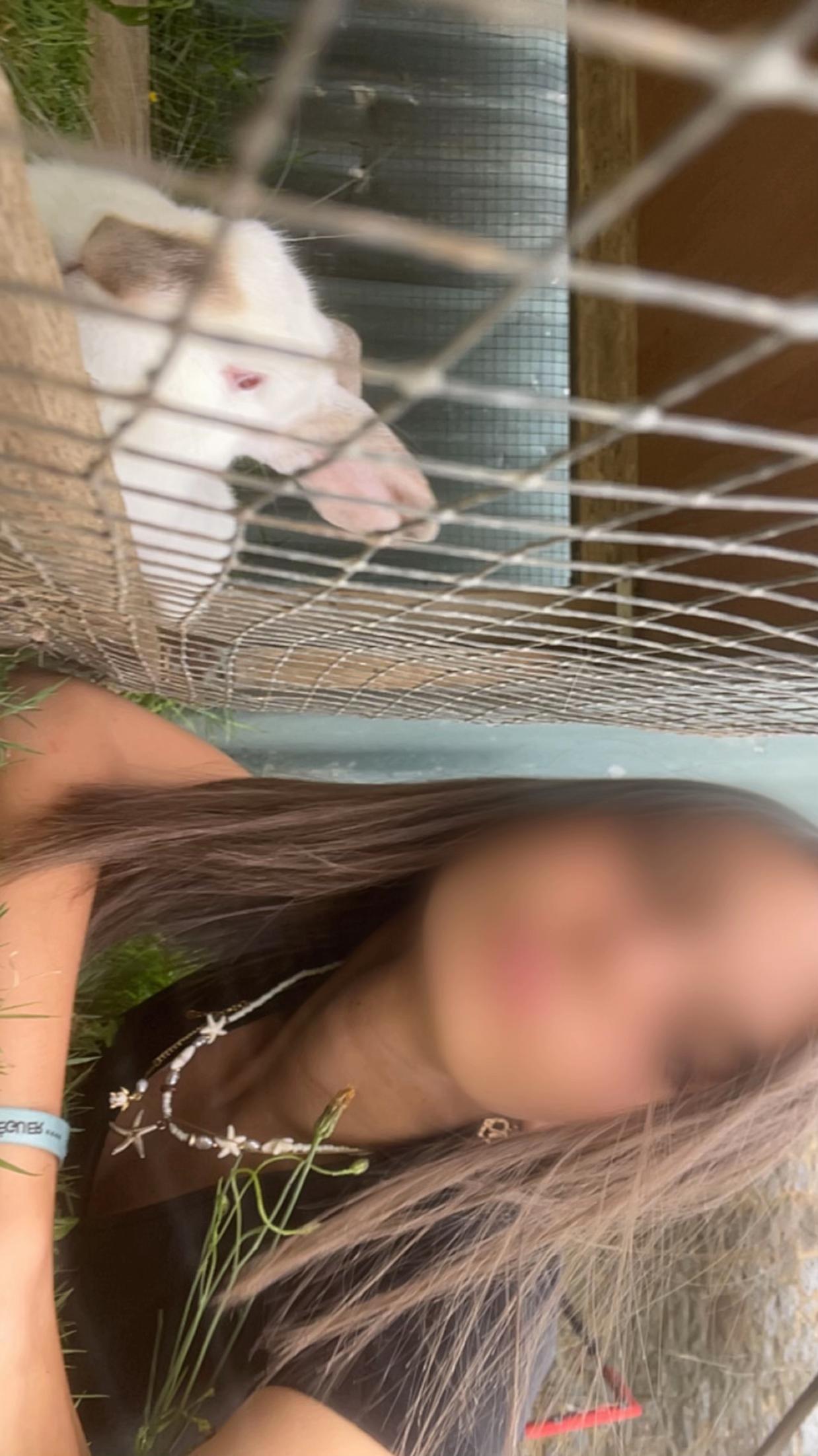 @𝐀𝐧𝐠𝐞́𝐥𝐢𝐧𝐚