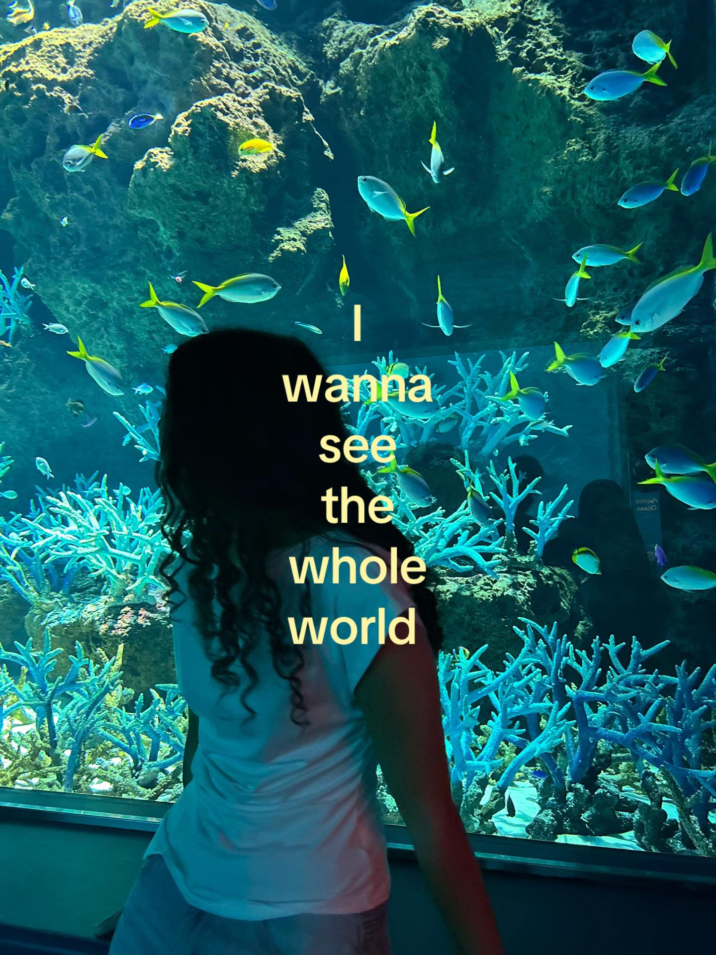 @S&rsquo;🕷️