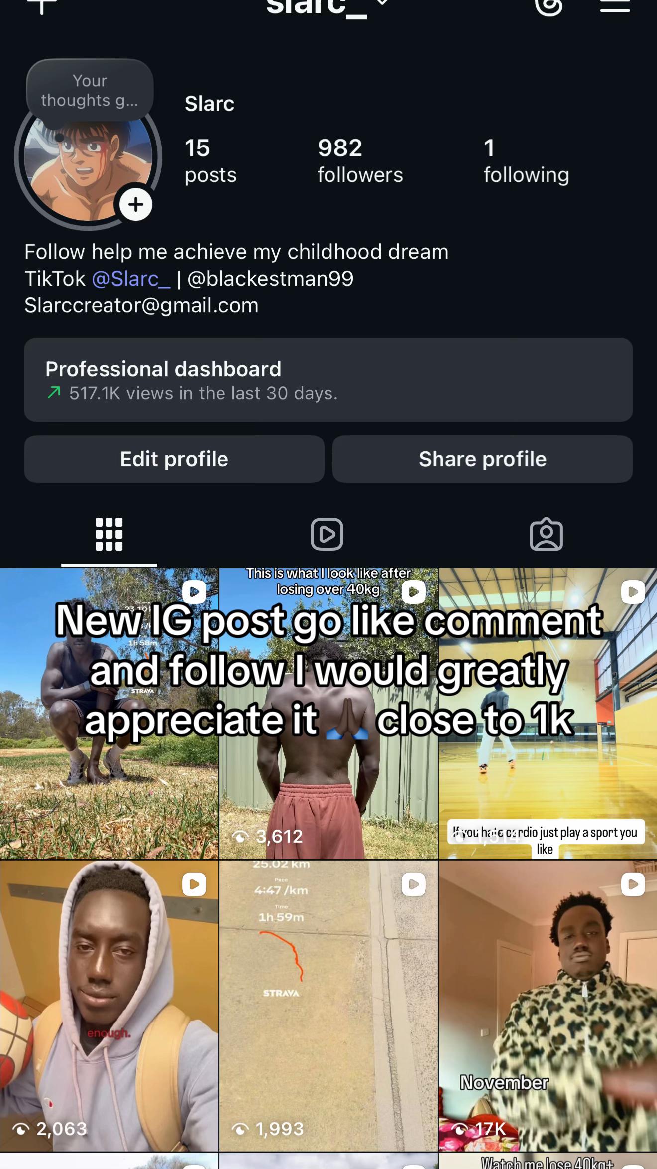 @Slarcburner