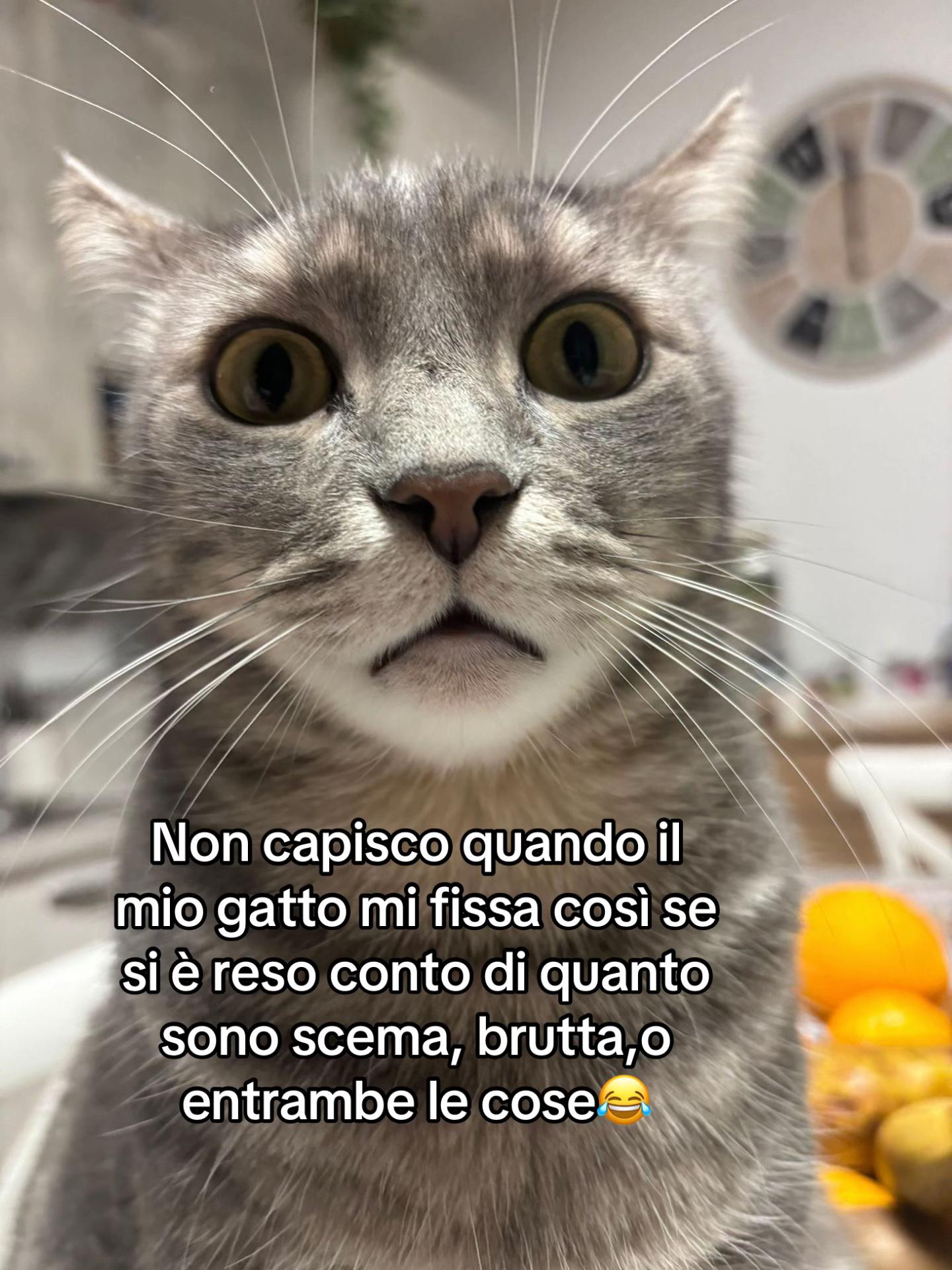 @Simona81🦋