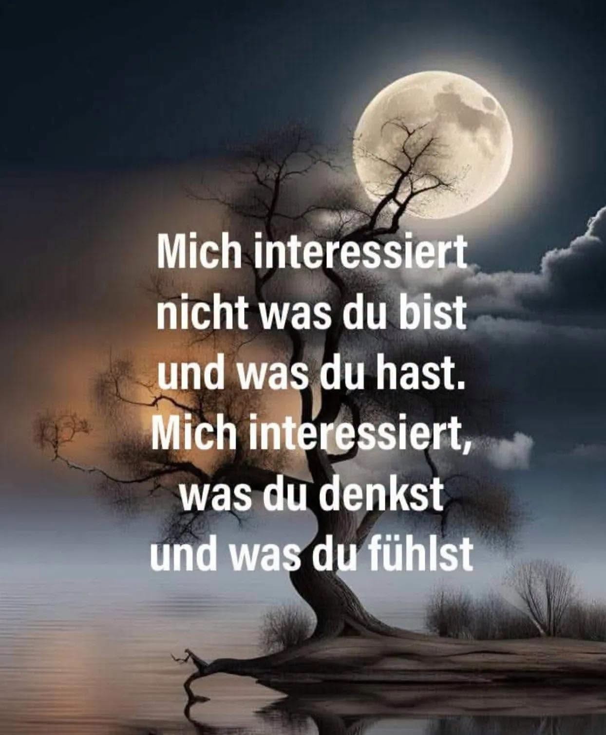 @Birgit Maus 2