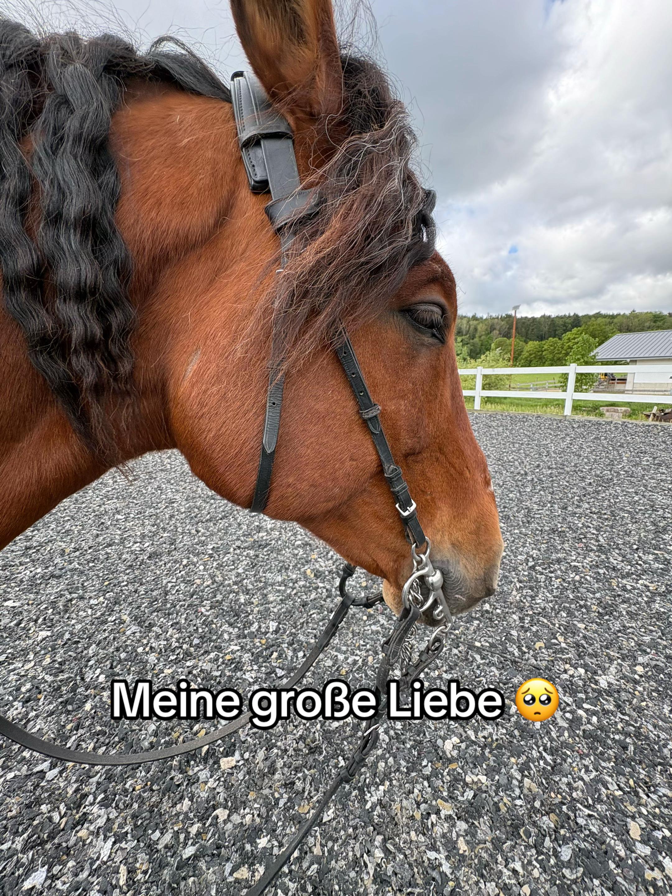 @Oriiiiiii