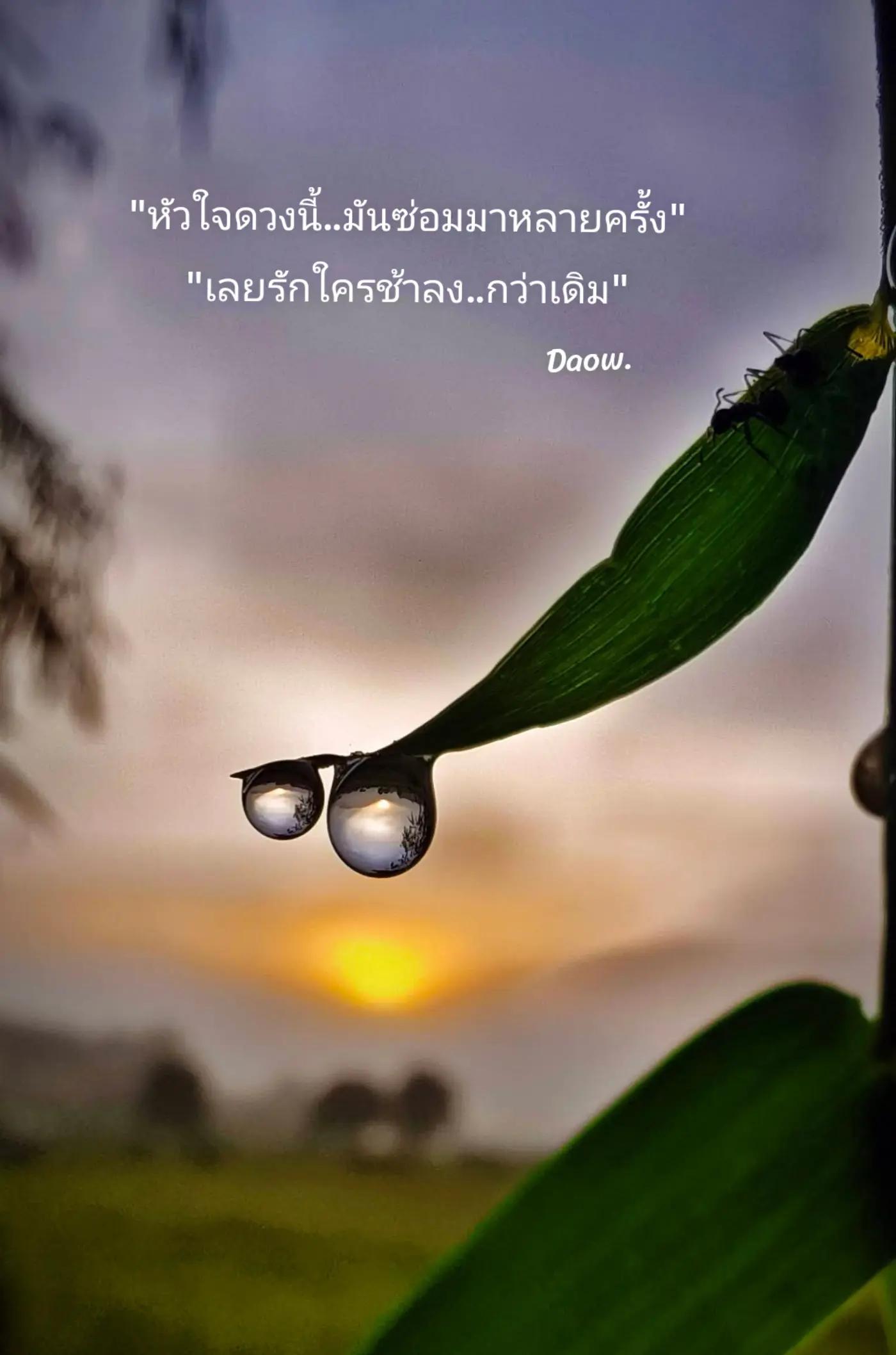 @🌟คนไทยในประเทศไทย🇹🇭❤️