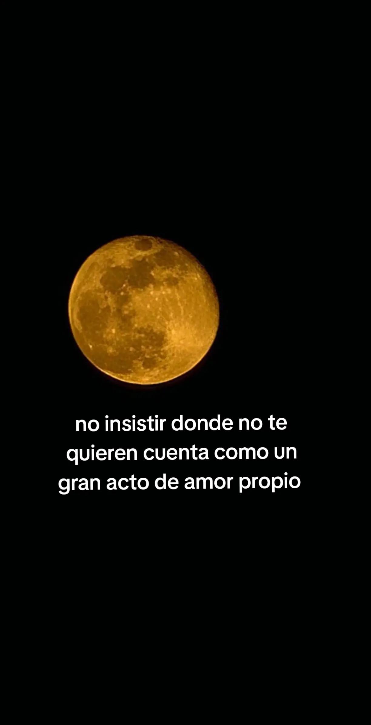 @Gerardo McQueen