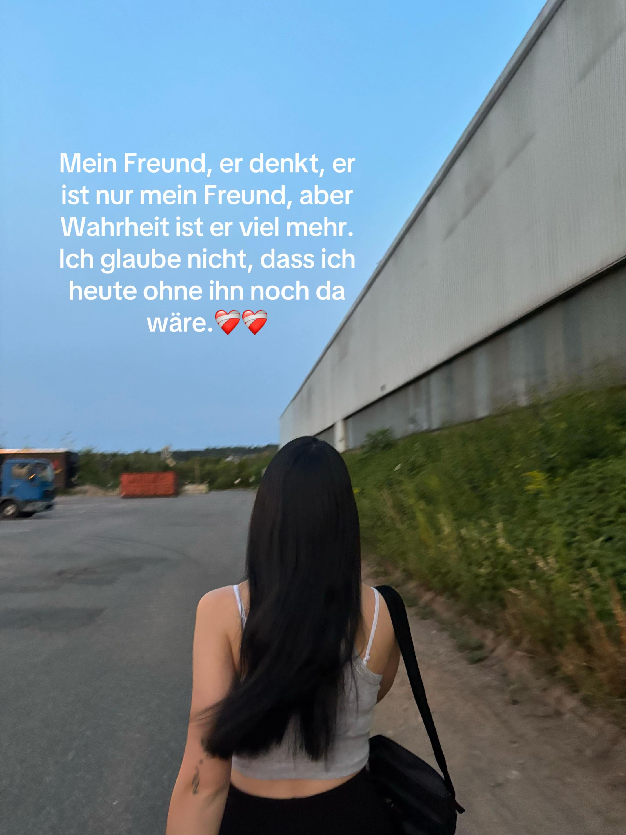 @🕊️