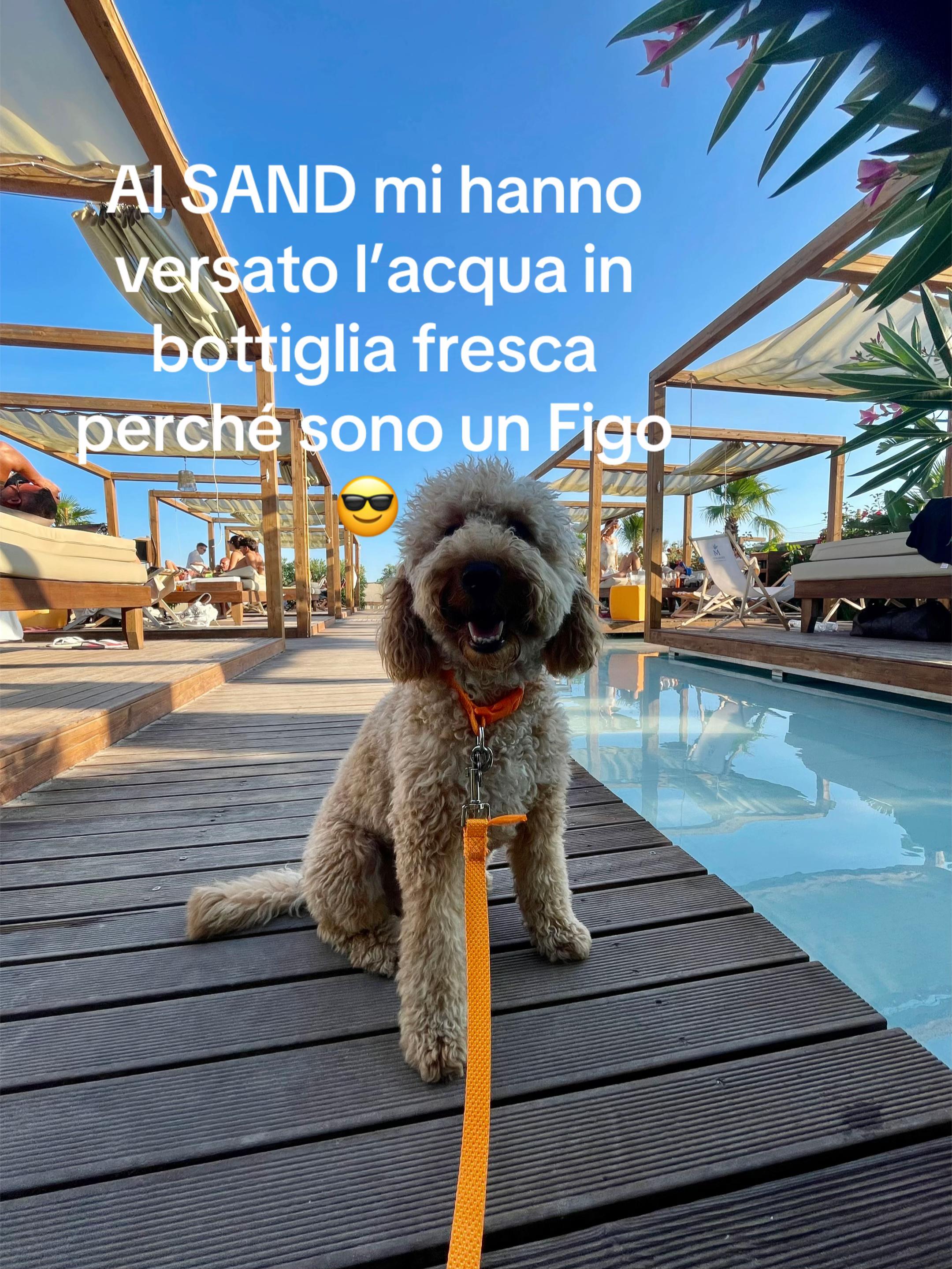 @Federica