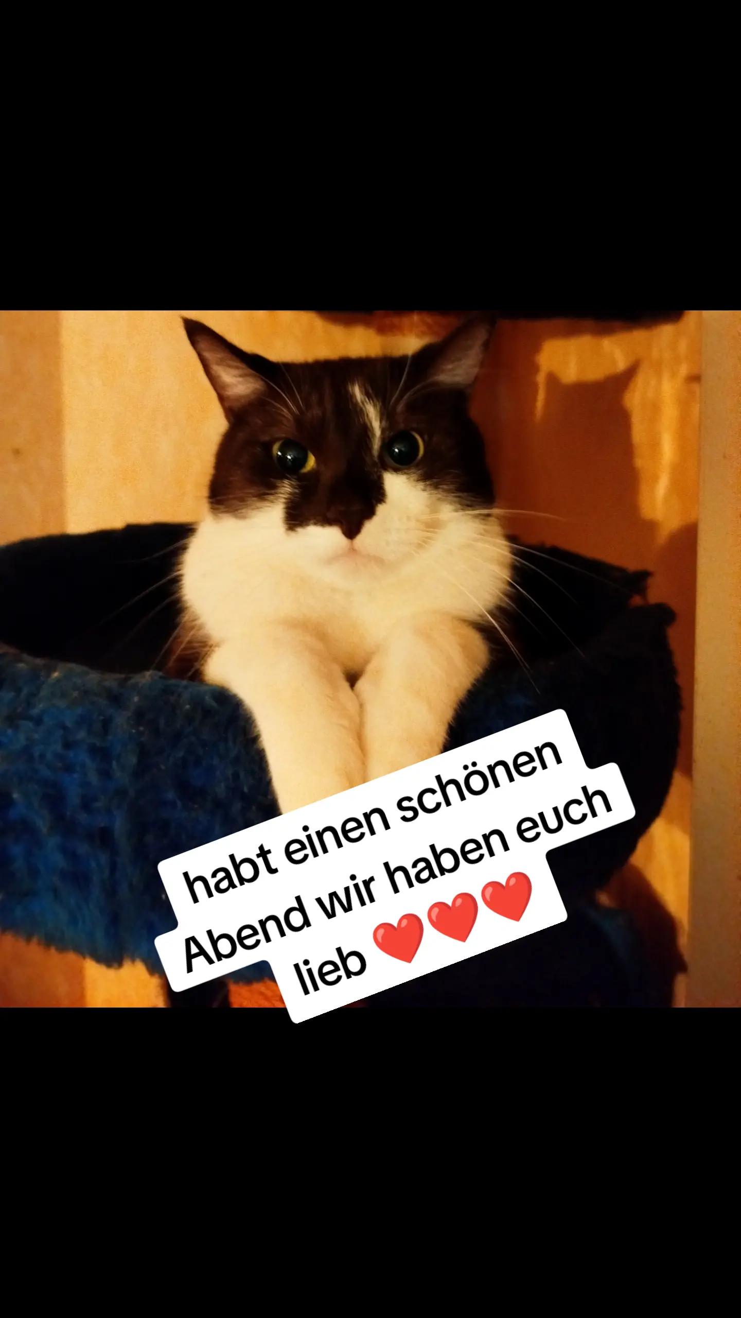 @KaR!zMa❤️🫶❤️🤭